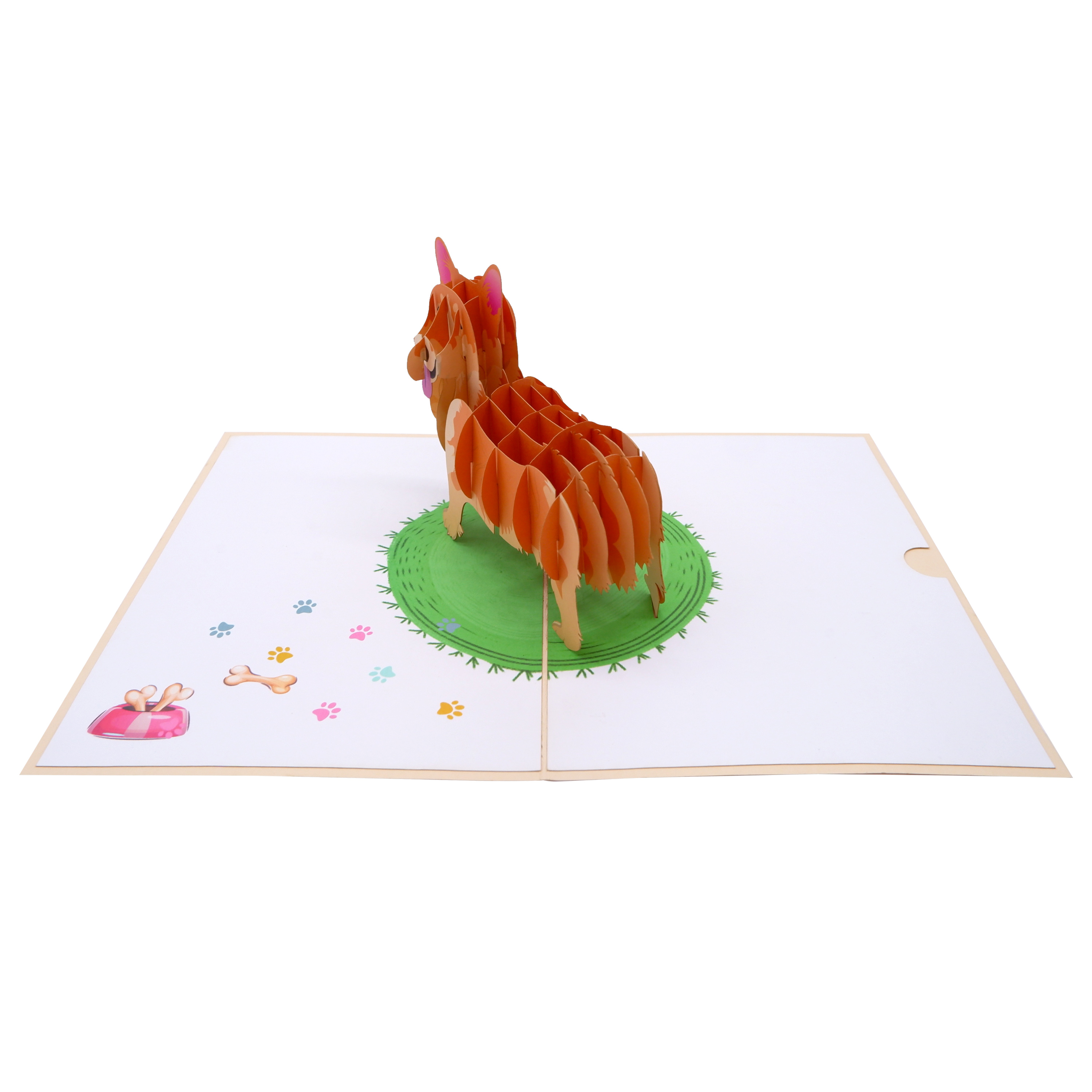 Corgy Pop Up Card