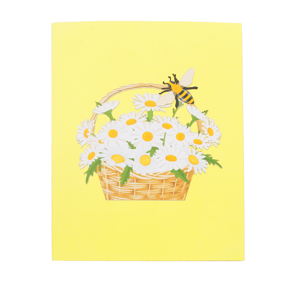 White Daisy Basket Pop Up Card