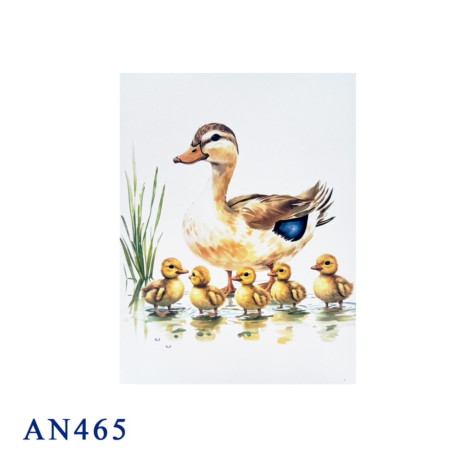Duck Family Pop Up Card