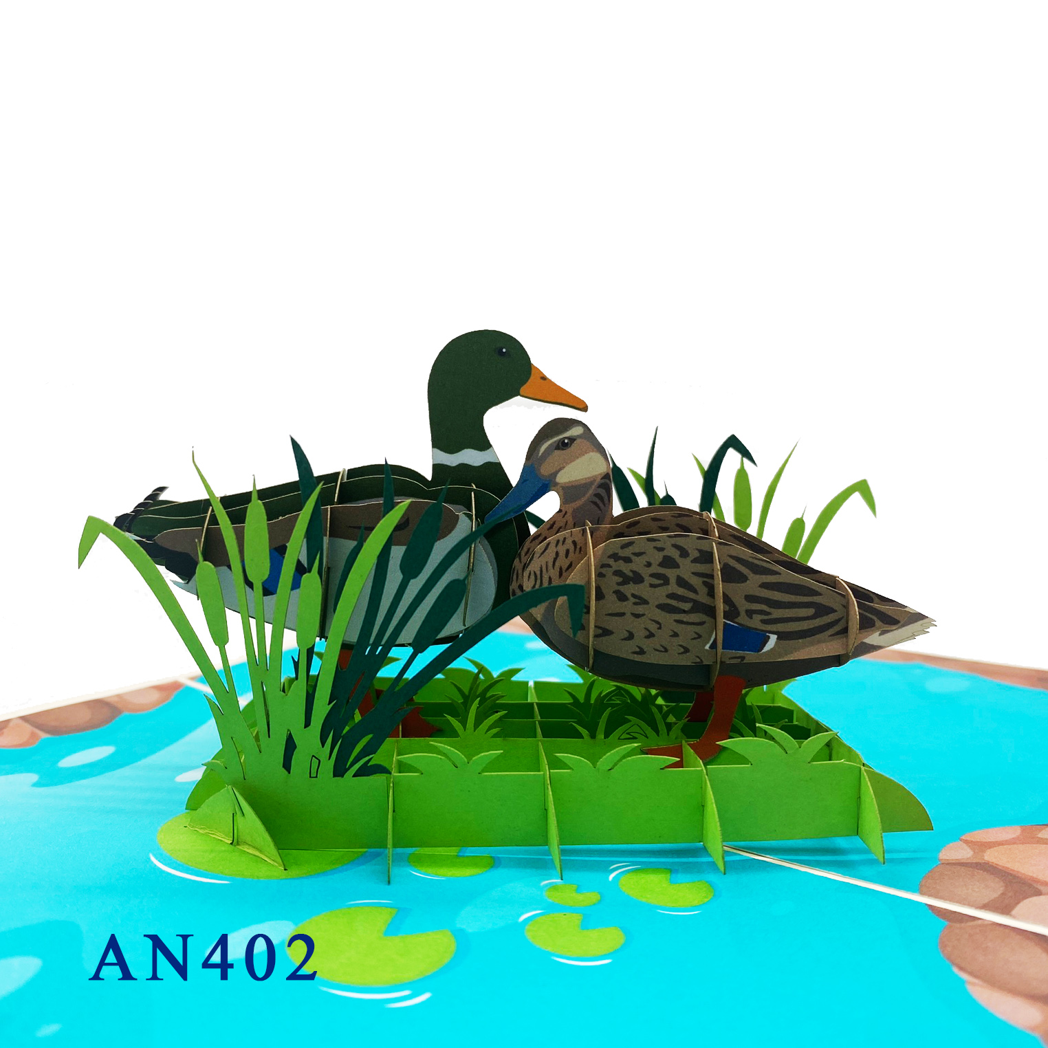 Mallard Ducks Pop Up Card