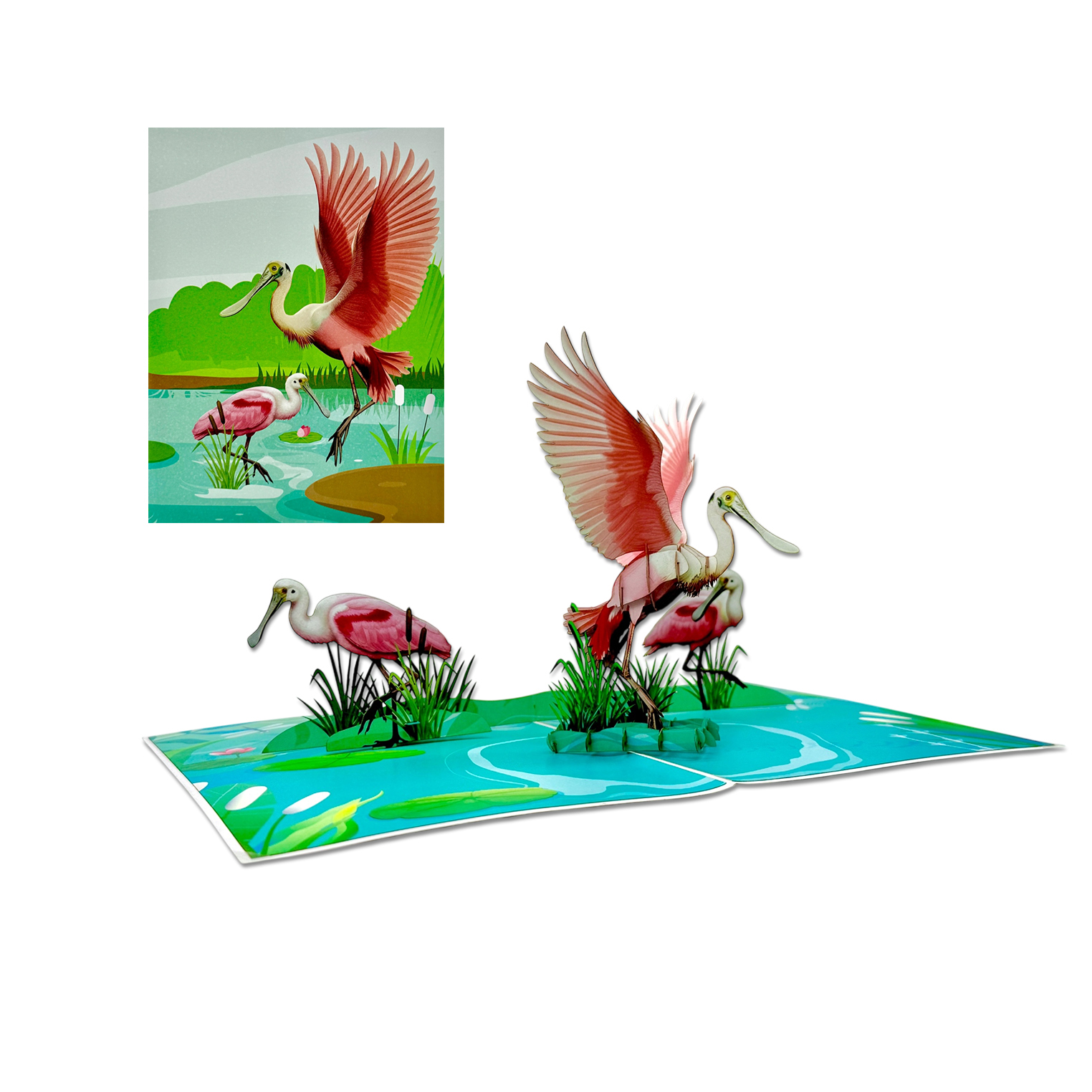 Florida Spoonbill Pop-up Card