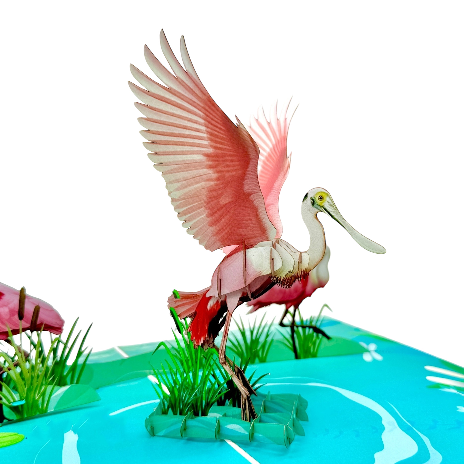Florida Spoonbill Pop-up Card