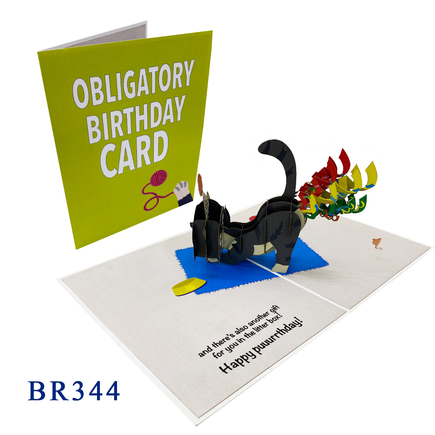 Funny Cat Birthday Pop Up Card