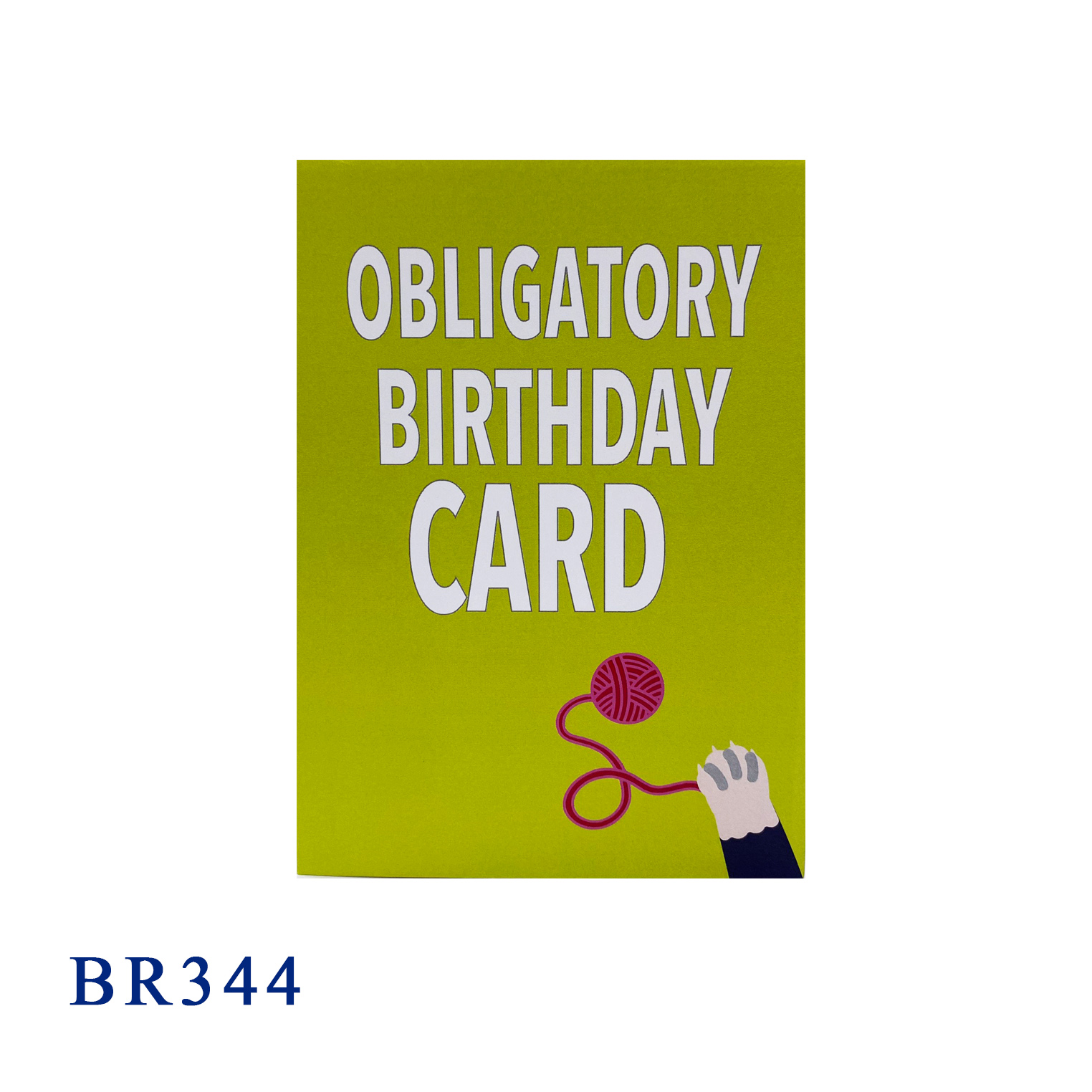 Funny Cat Birthday Pop Up Card