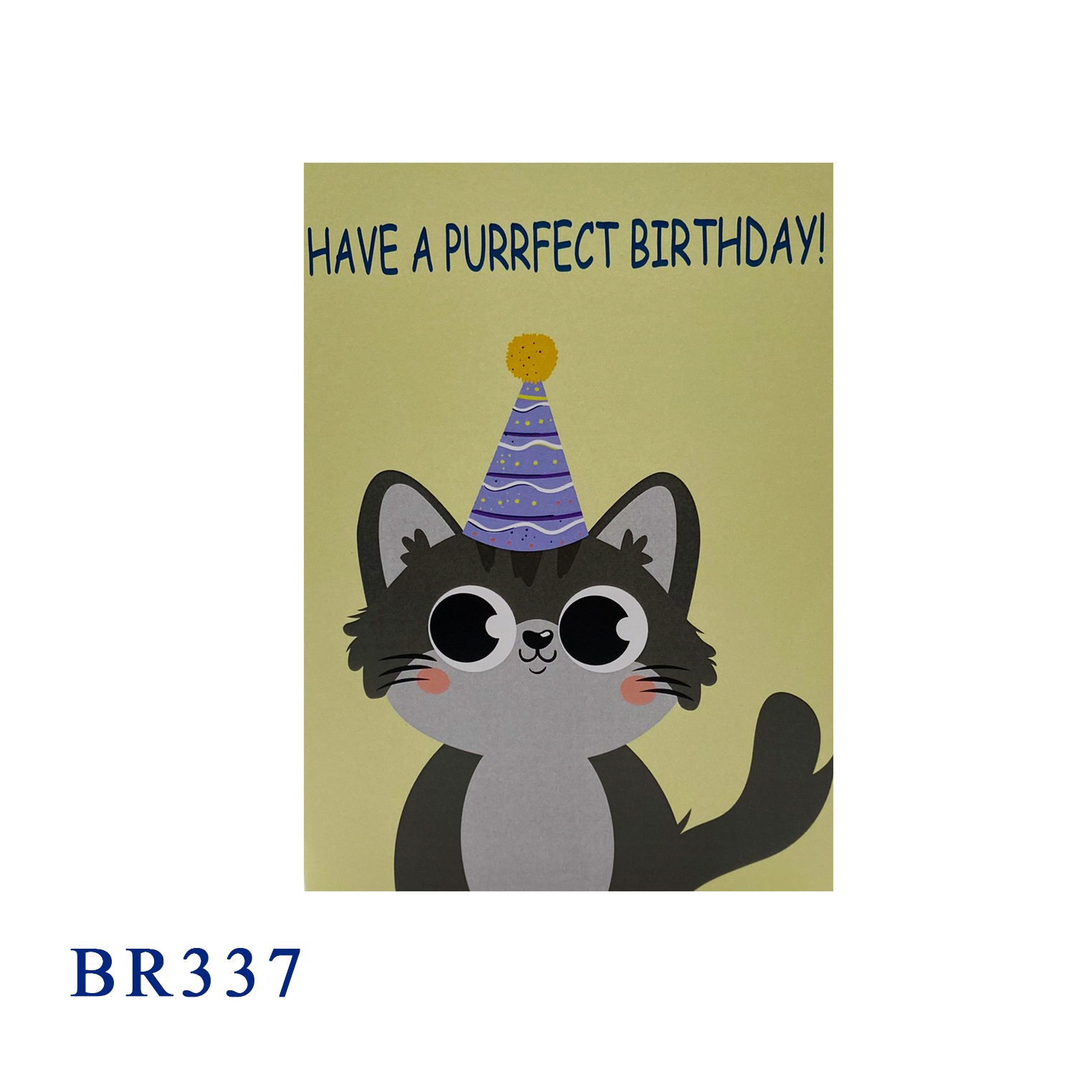 Funny Kitten Birthday Pop Up Card