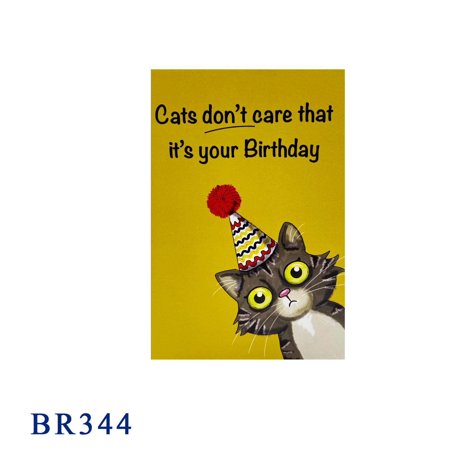 Funny Cat Birthday Pop Up Card