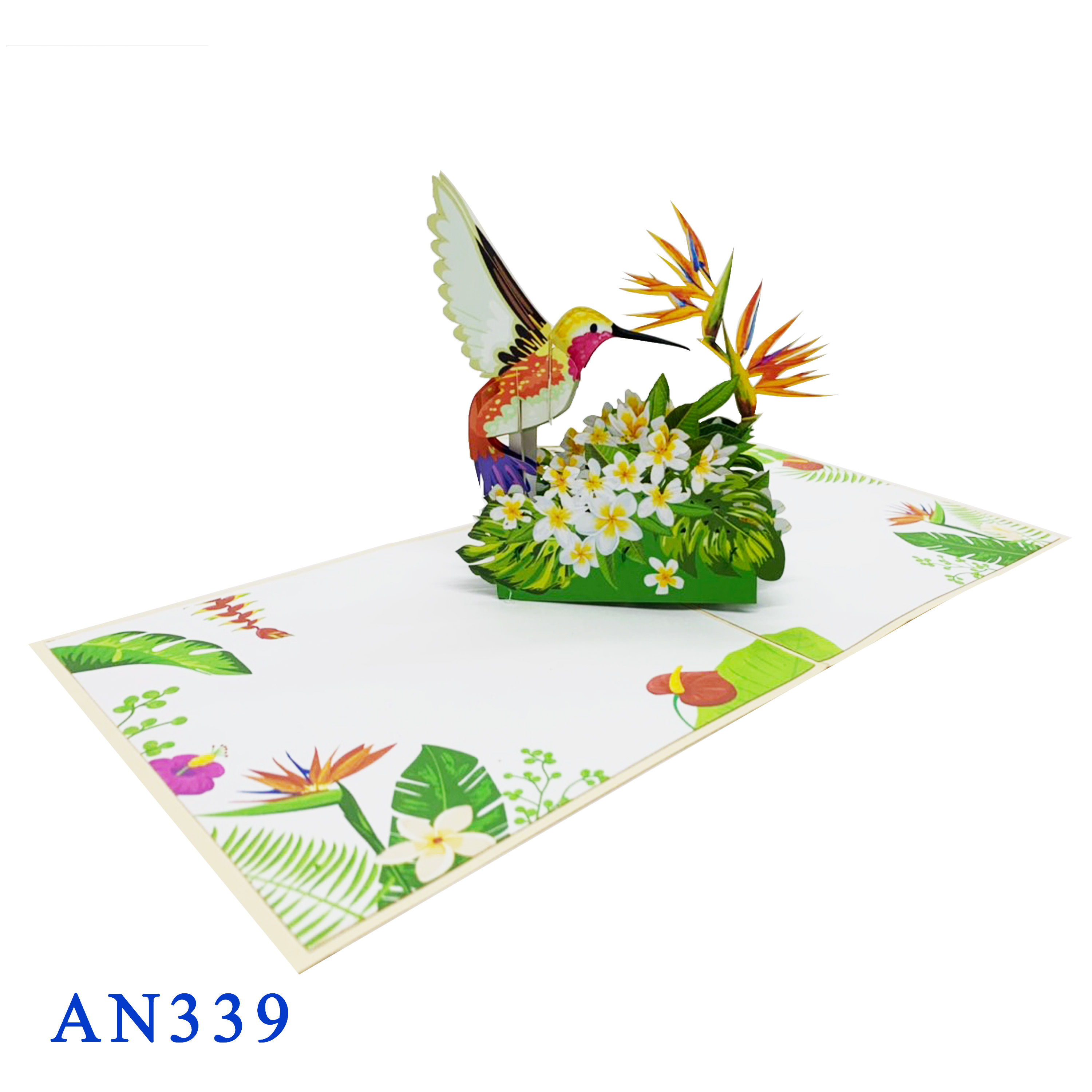 Humming Bird Pop Up Card