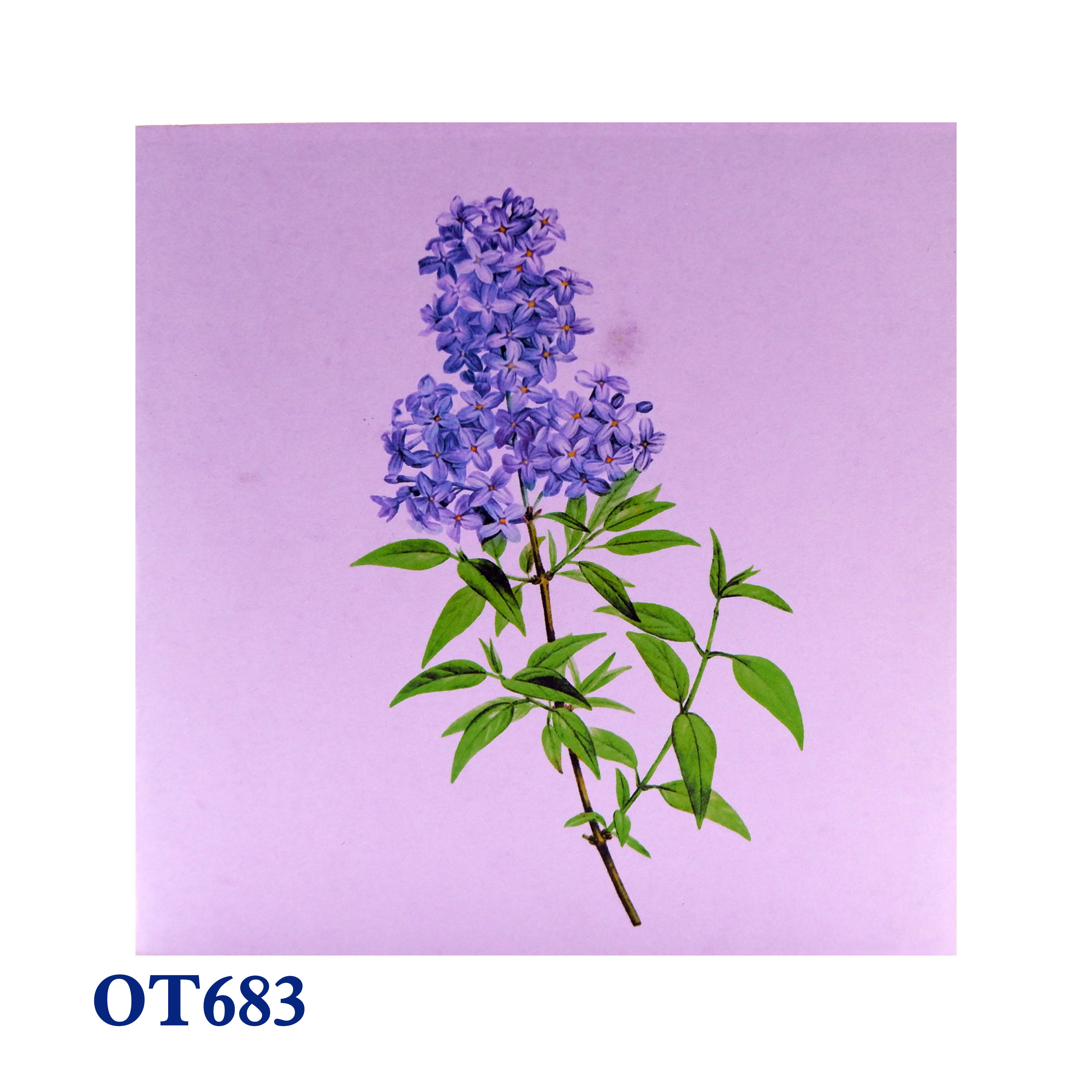 Lilac Basket Pop Up Card