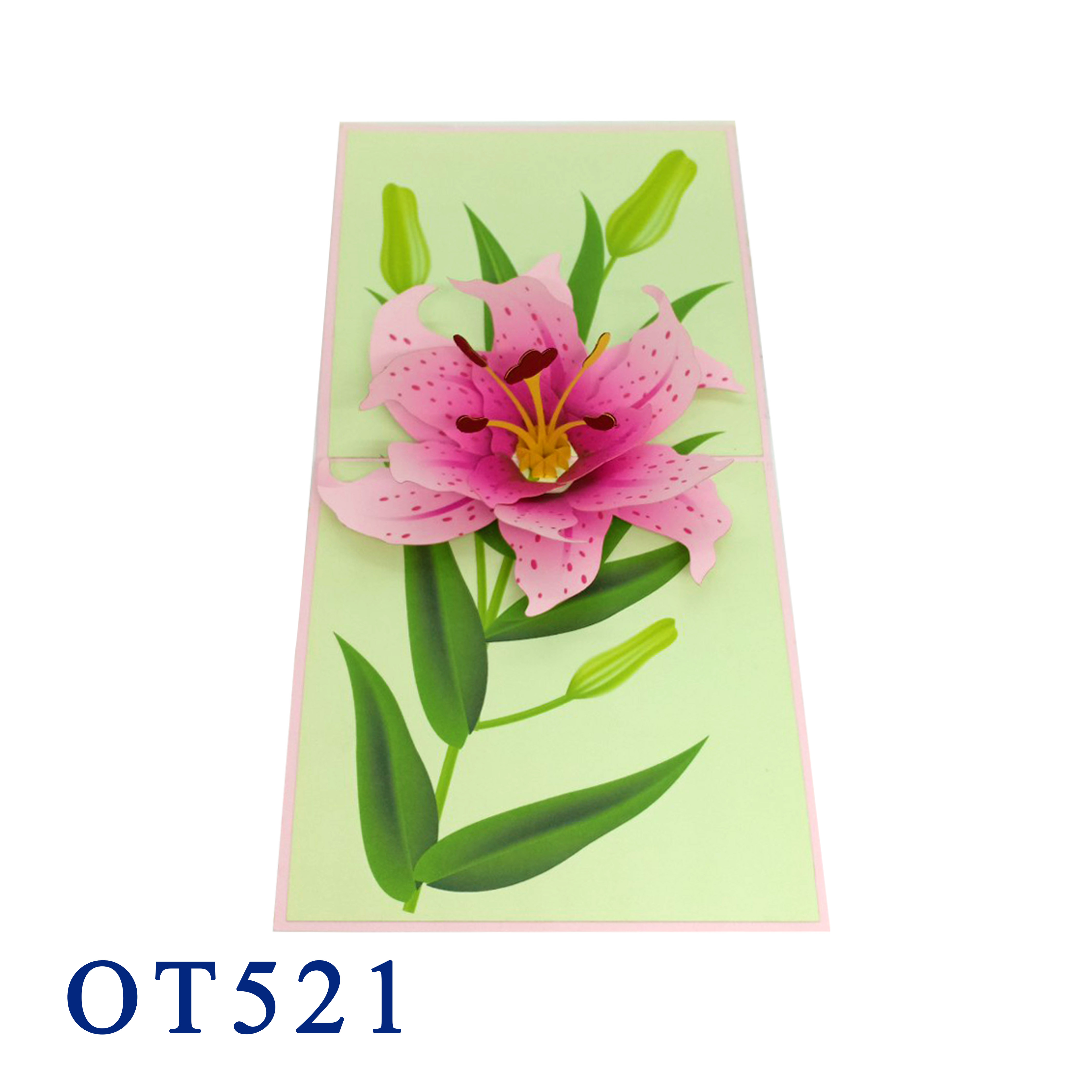 Lily Bloom Pop Up Card