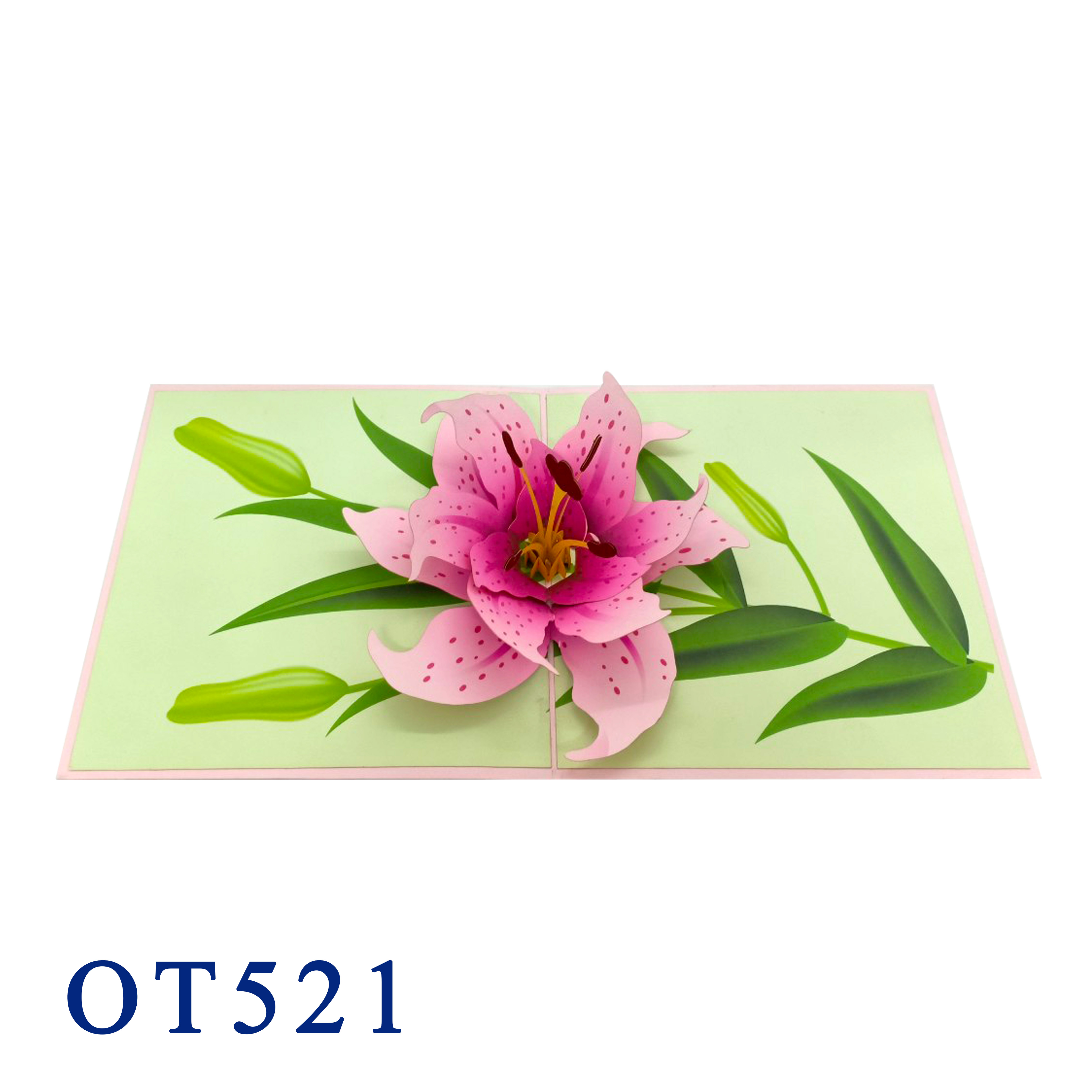 Lily Bloom Pop Up Card