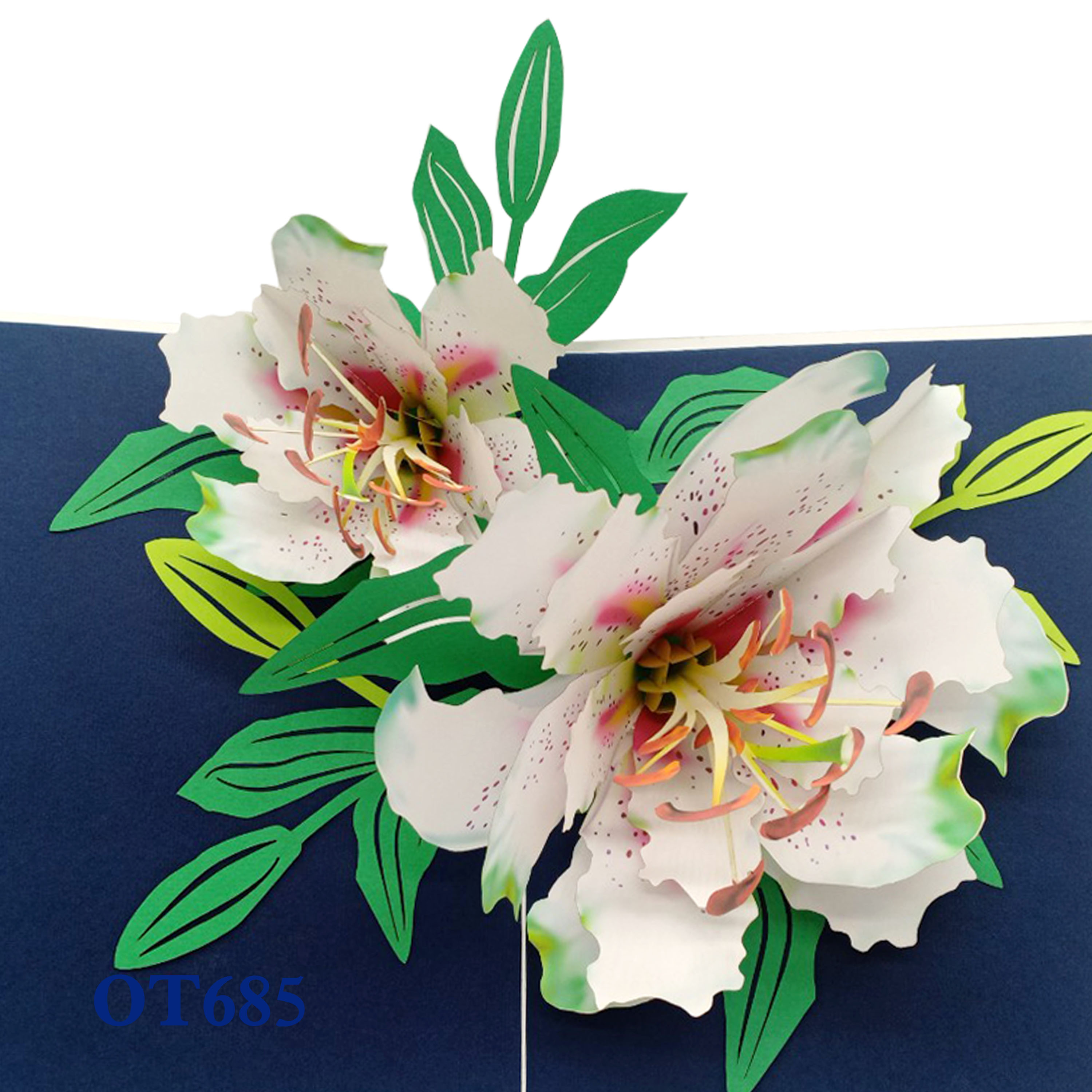 Lily Bloom Pop Up Card