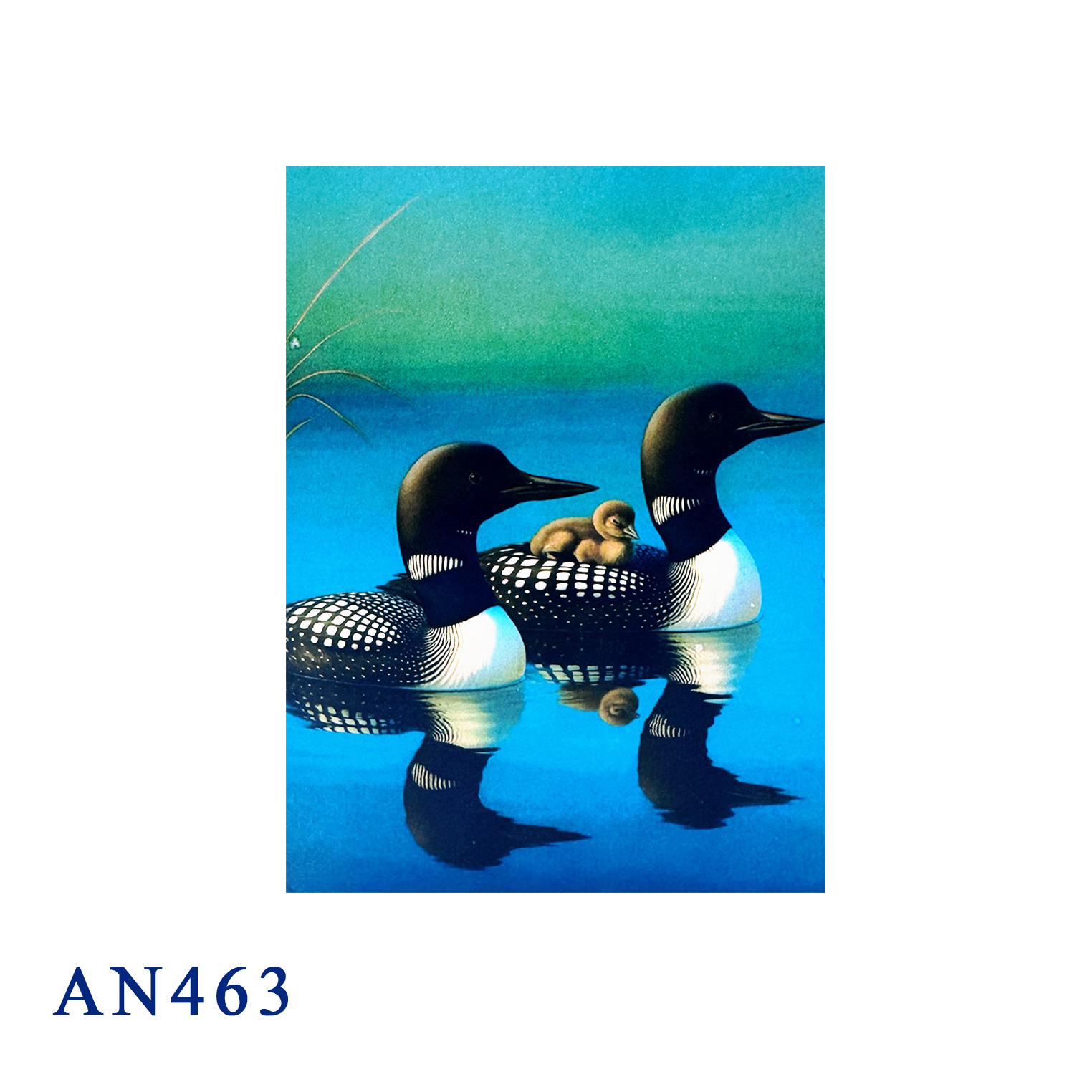 Loon Family 3D Pop-up Greeting Card