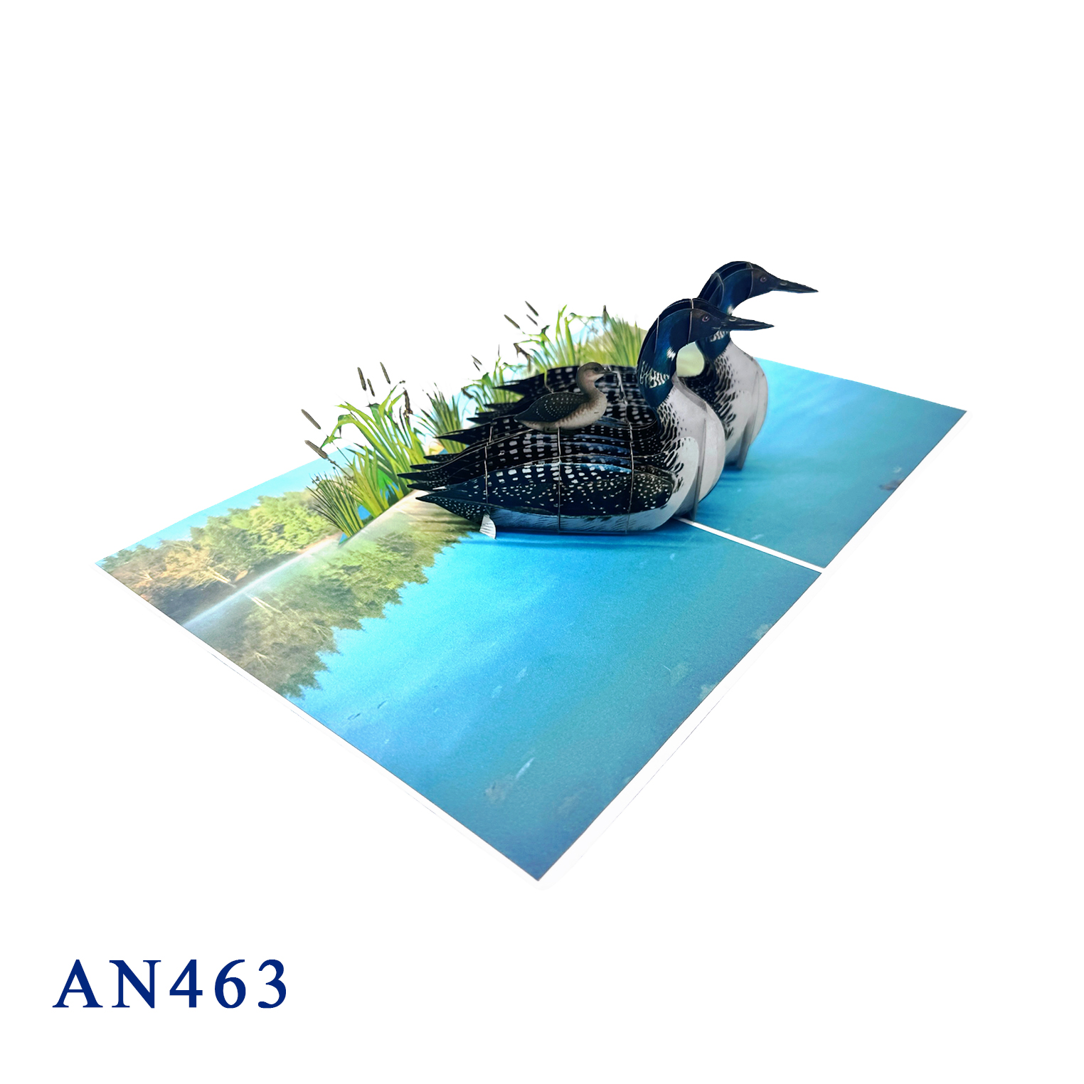 Loon Family 3D Pop-up Greeting Card