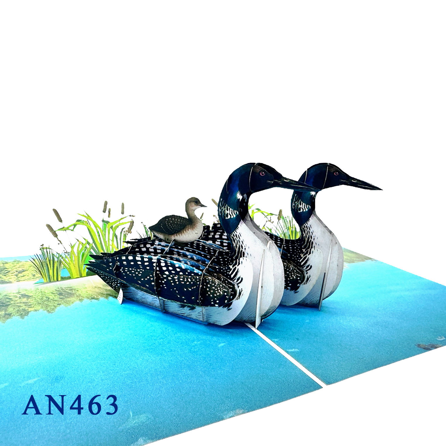 Loon Family 3D Pop-up Greeting Card