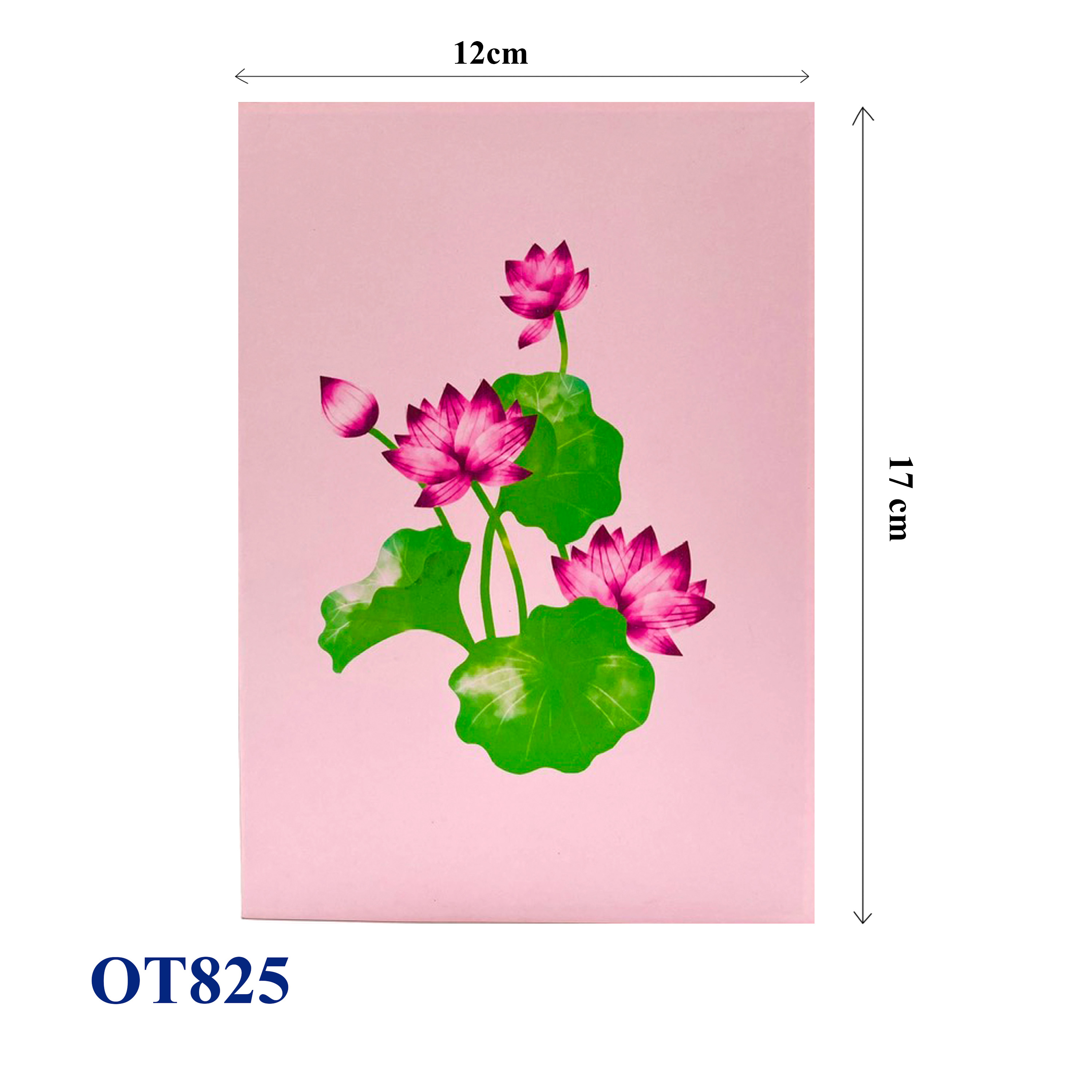 Lotus Dragonfly Pop Up Card