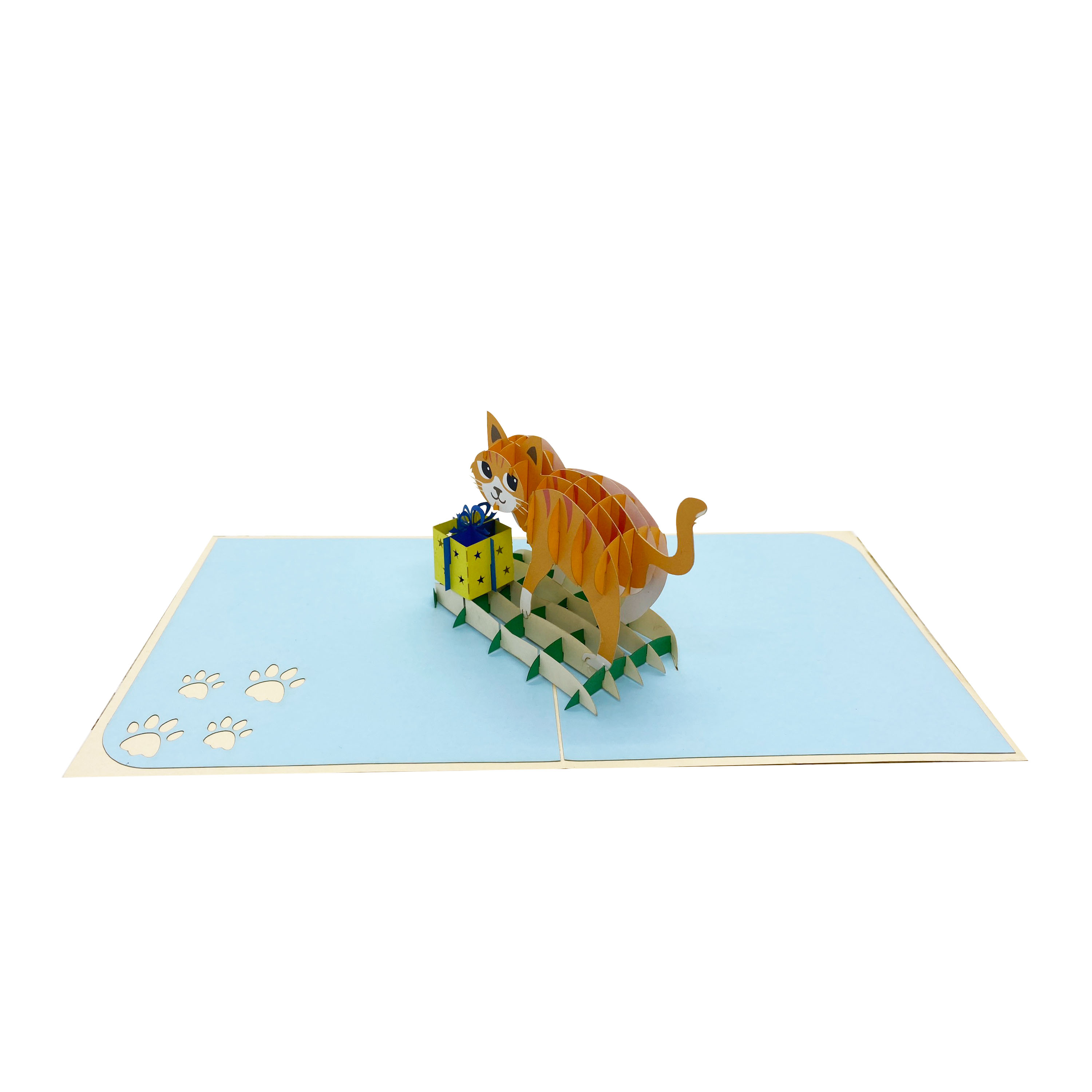 Birthday Lovely Kitten Pop Up Card