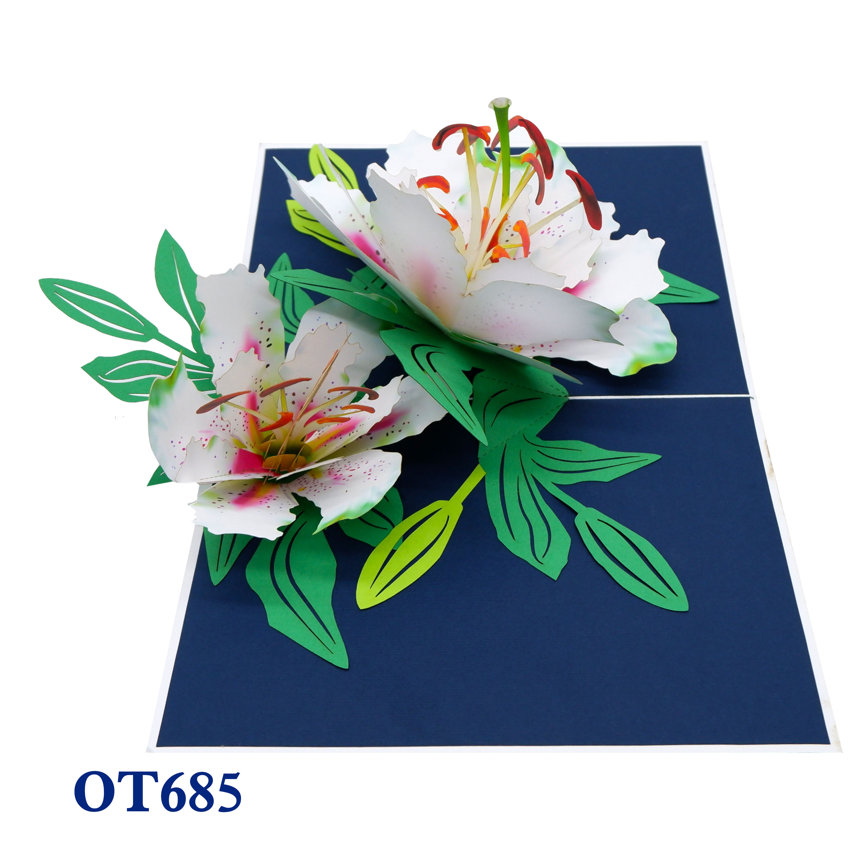 Lily Bloom Pop Up Card
