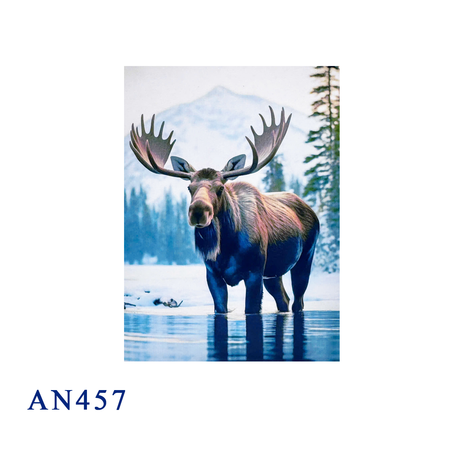 Moose 3D Pop-up Card