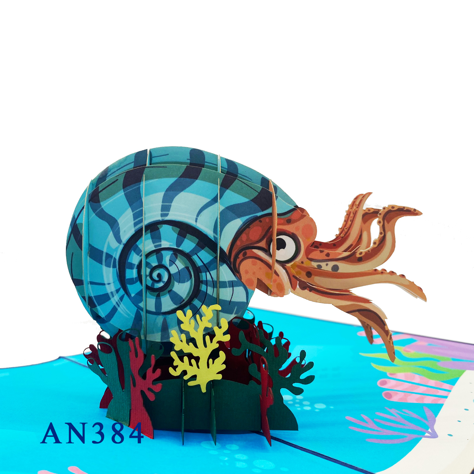 Nautilus Pompilius Pop Up Card