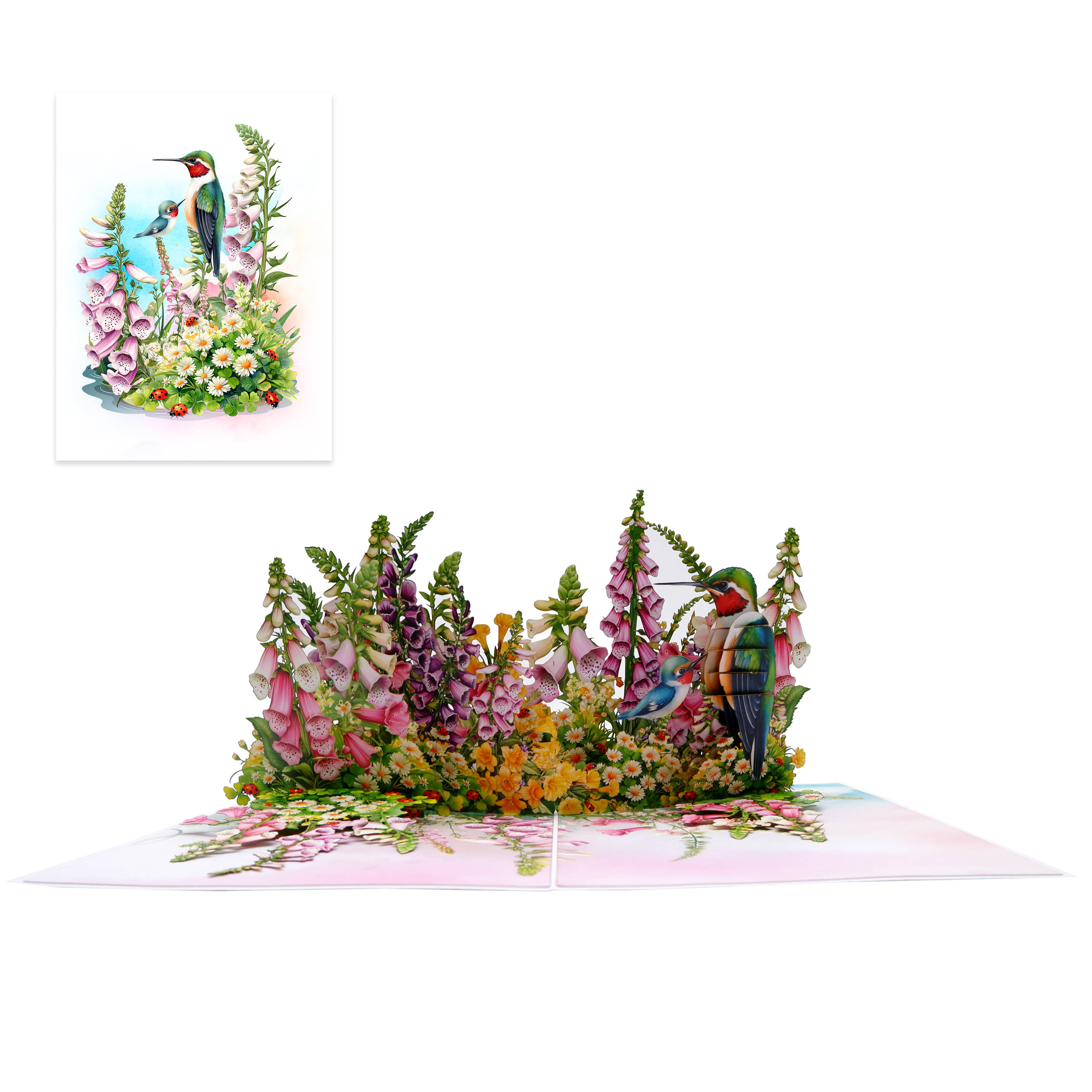 Flowers Garden & Hummingbirds Pop Up Card