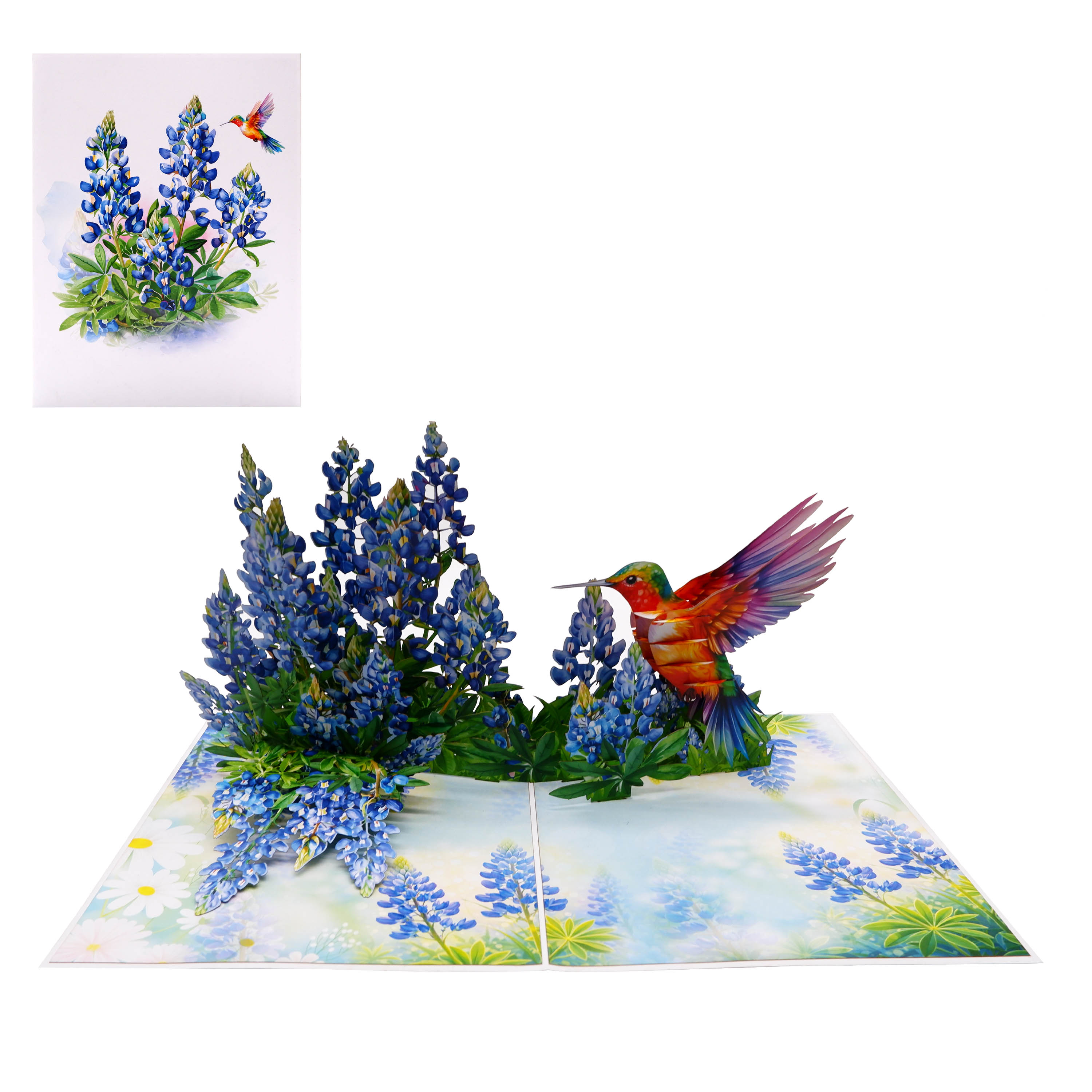 Bluebonnet & Hummingbird 3D Pop Up Card – Handmade Floral Greeting Card