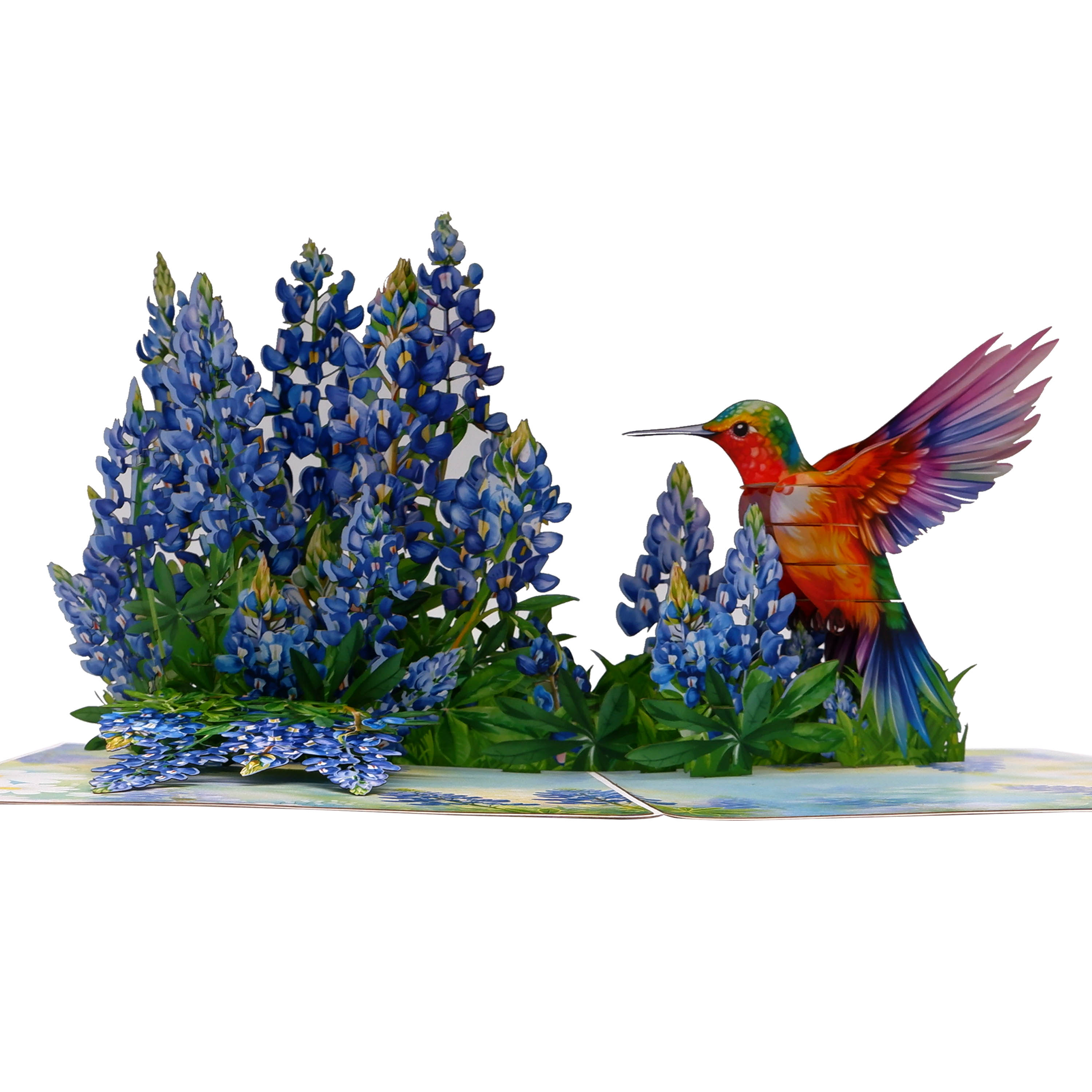 Bluebonnet & Hummingbird 3D Pop Up Card – Handmade Floral Greeting Card