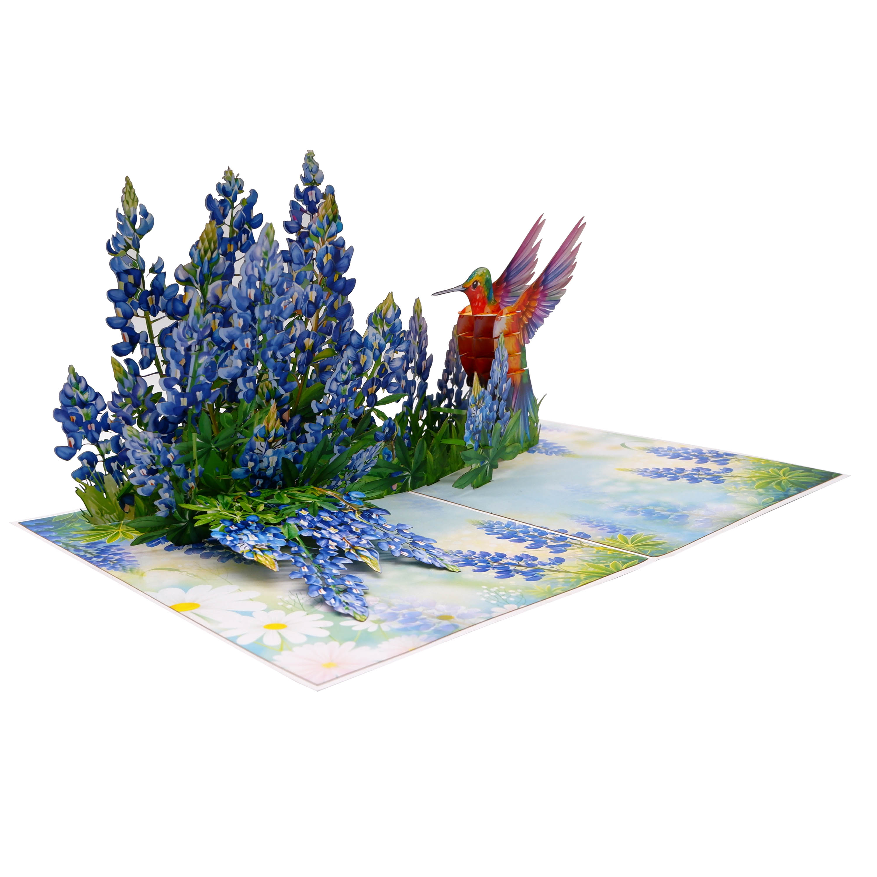 Bluebonnet & Hummingbird 3D Pop Up Card – Handmade Floral Greeting Card