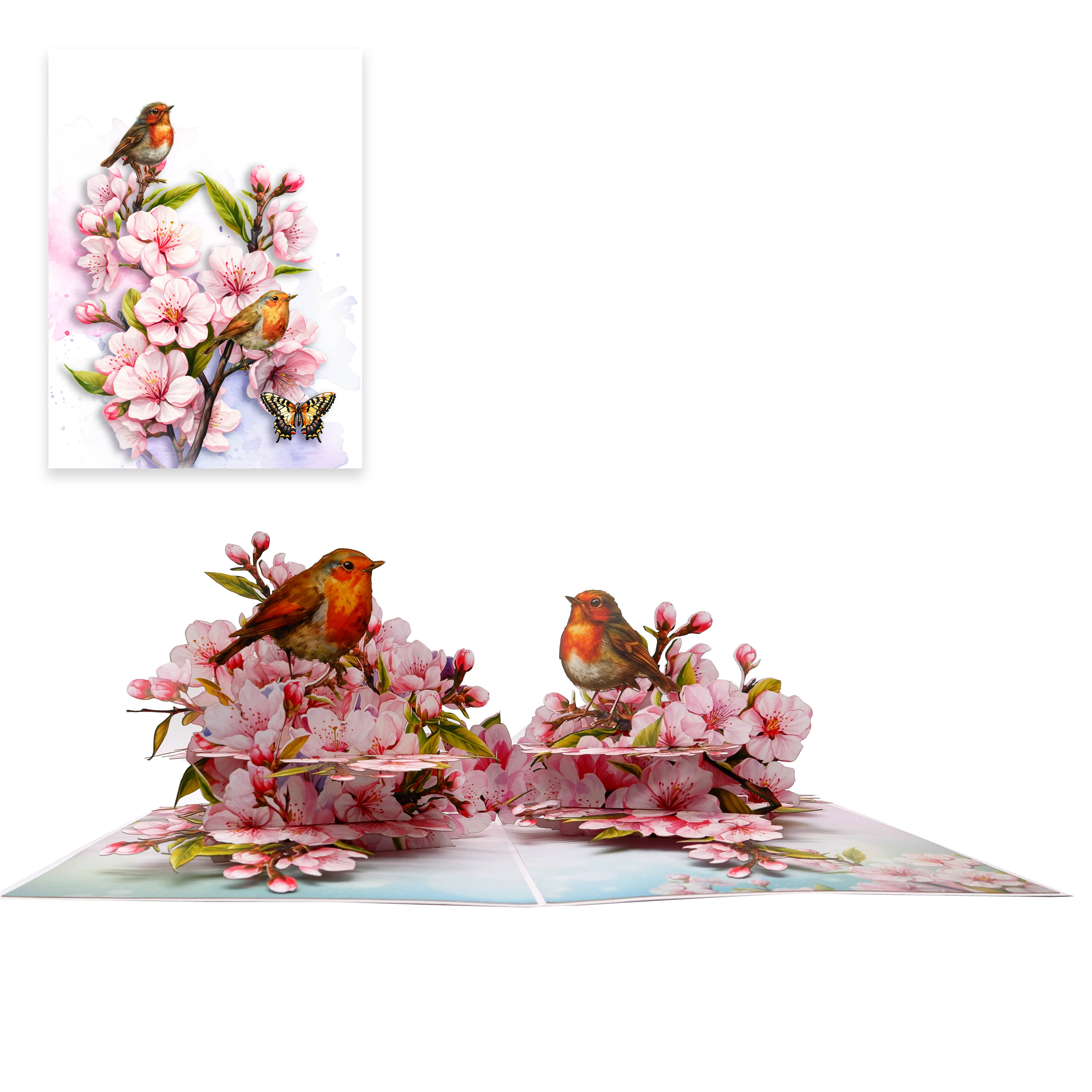Cherry Blossom & Robin Birds 3D Pop Up Card