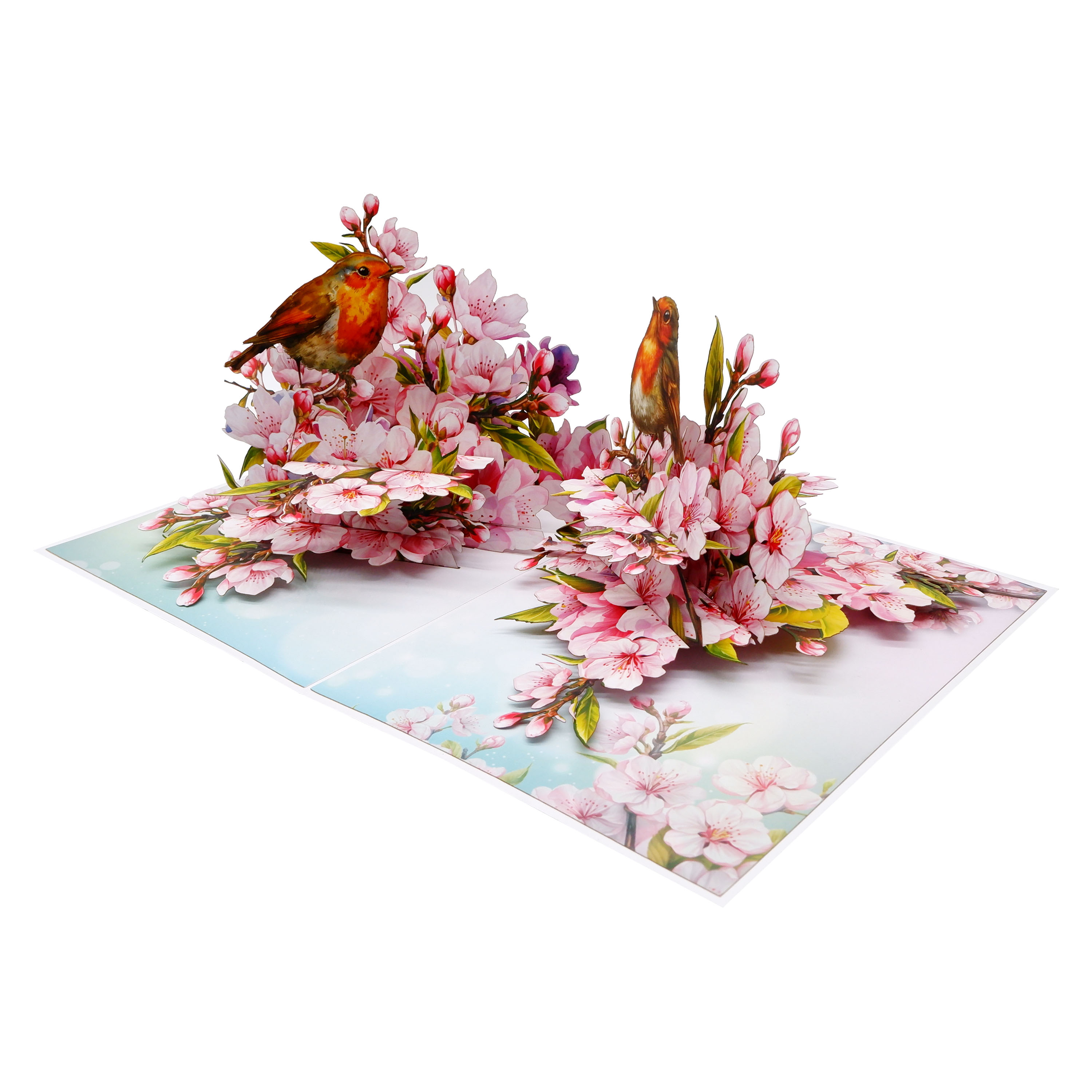 Cherry Blossom & Robin Birds 3D Pop Up Card