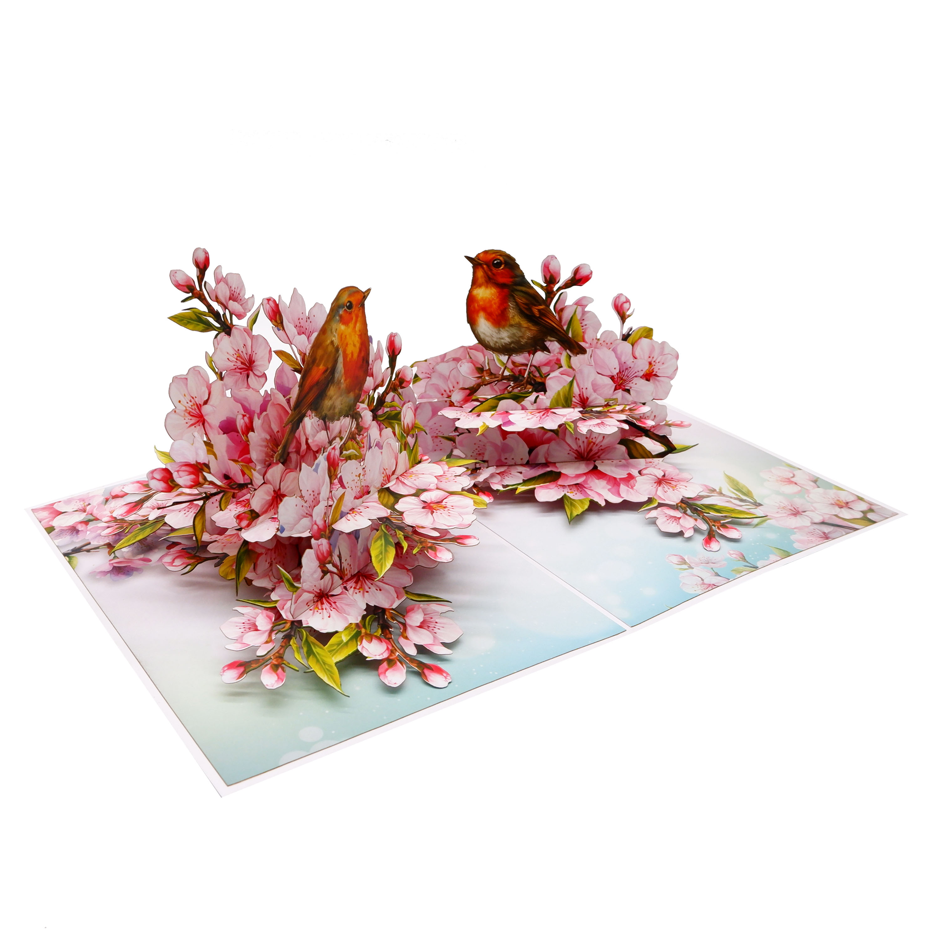 Cherry Blossom & Robin Birds 3D Pop Up Card