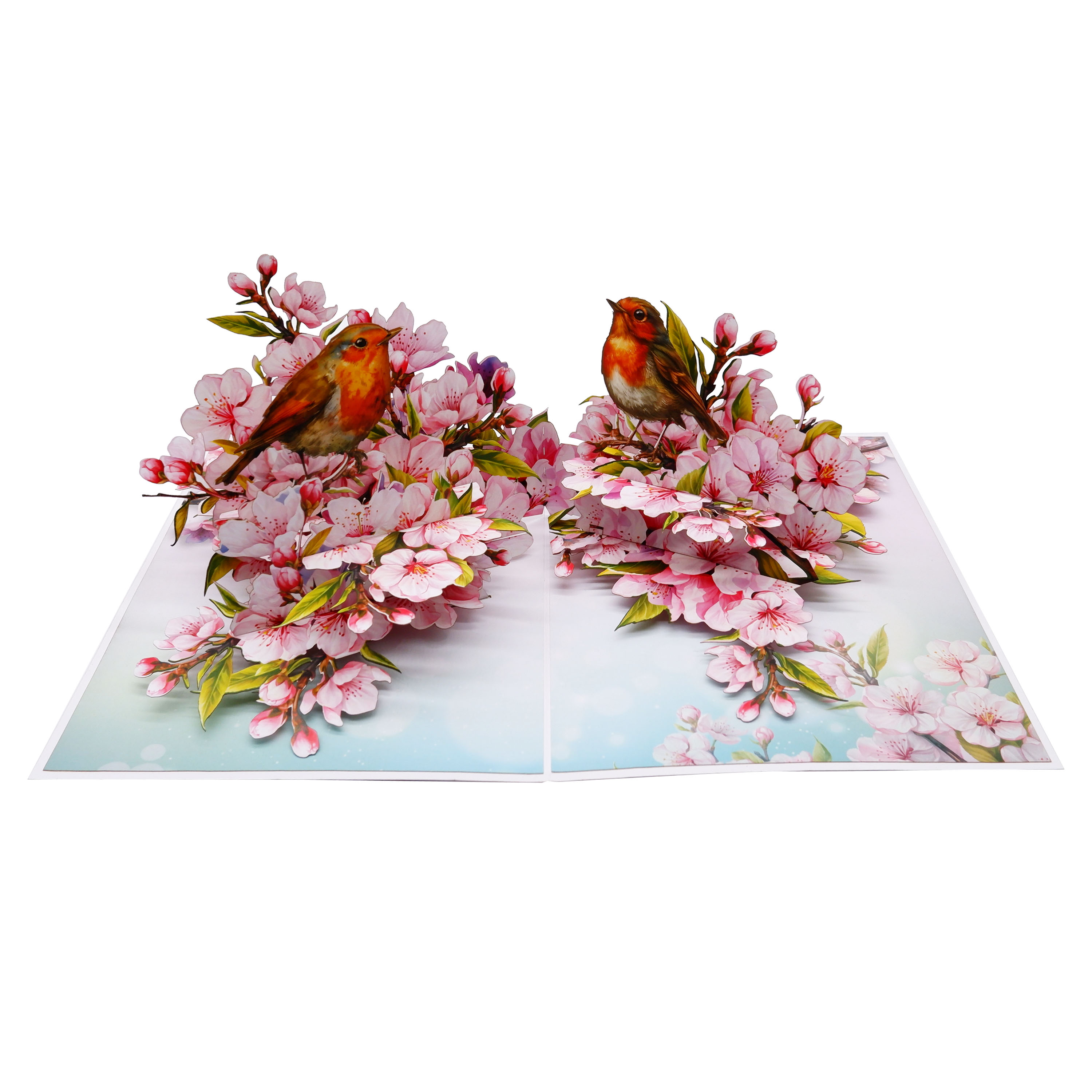 Cherry Blossom & Robin Birds 3D Pop Up Card