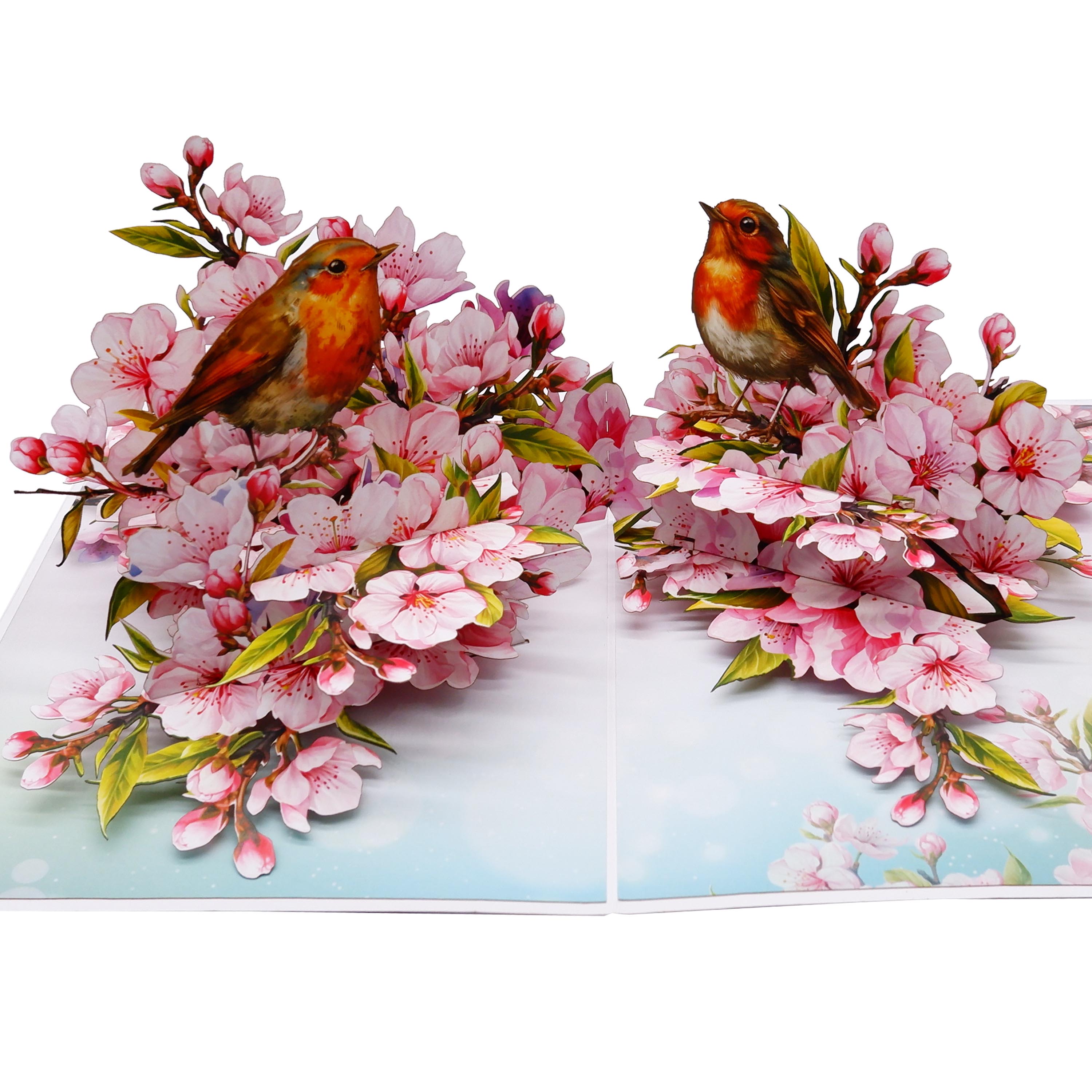 Cherry Blossom & Robin Birds 3D Pop Up Card