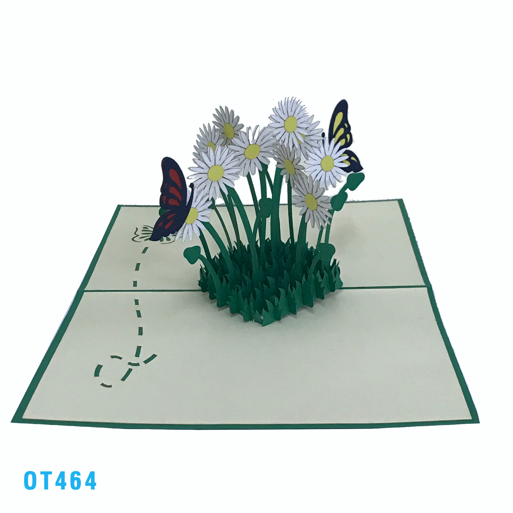 Daisy Garden Pop Up Card