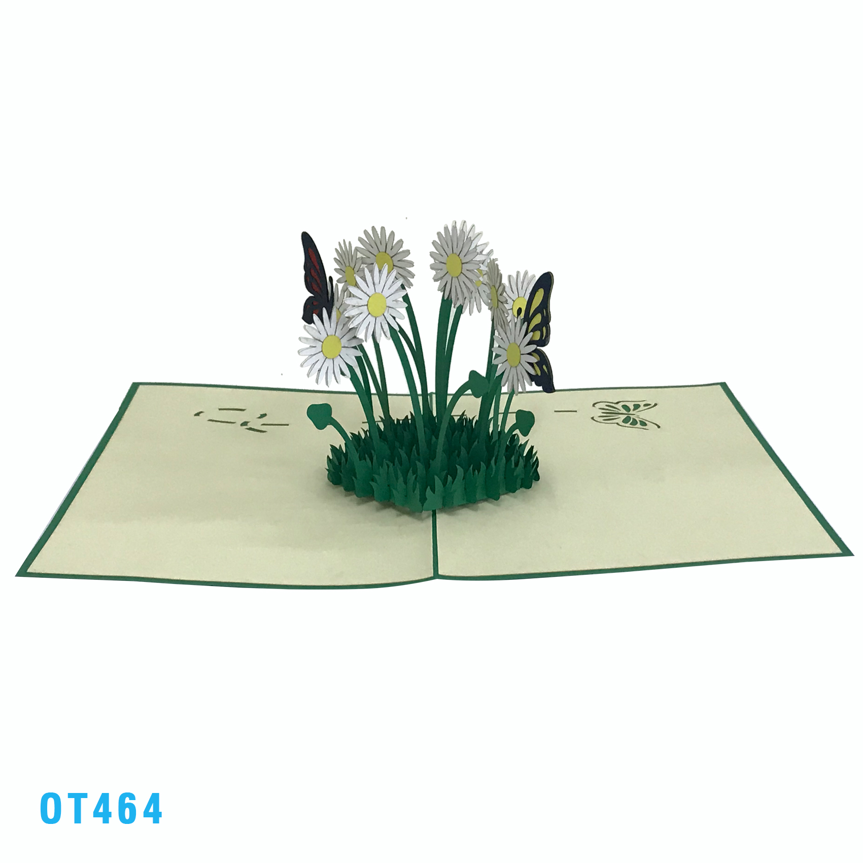 Daisy Garden Pop Up Card