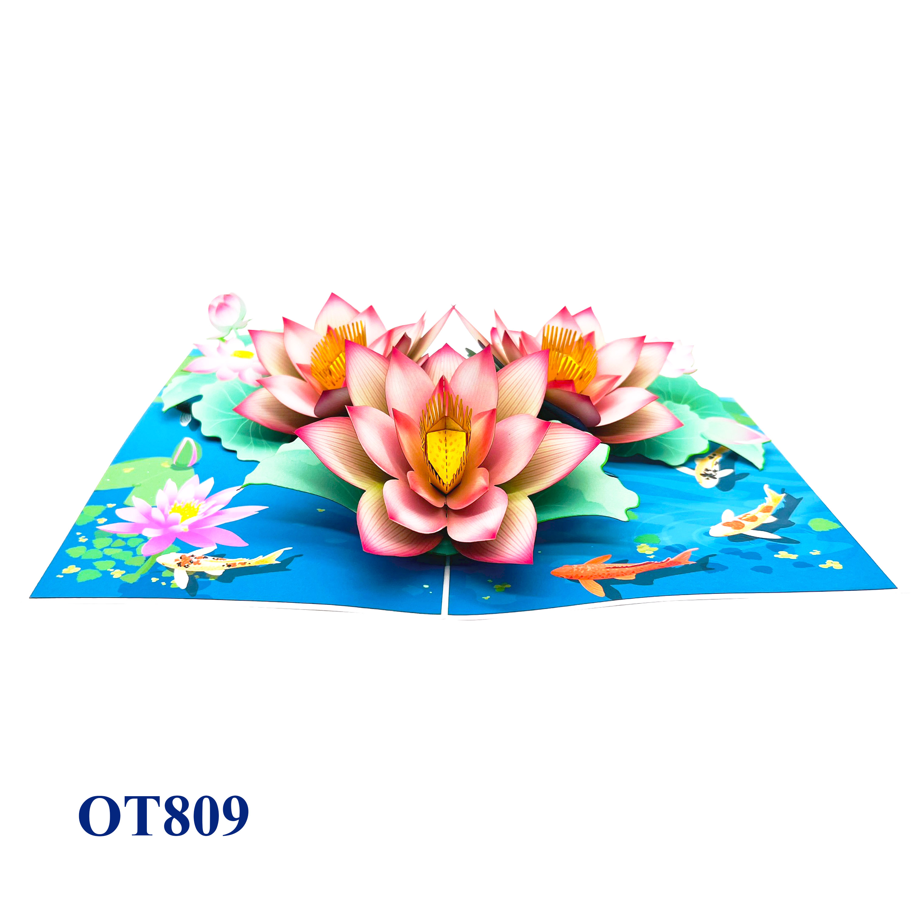 Lotus On The Pond Pop Up Card