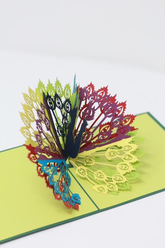 Peacock Pop Up Card 3D