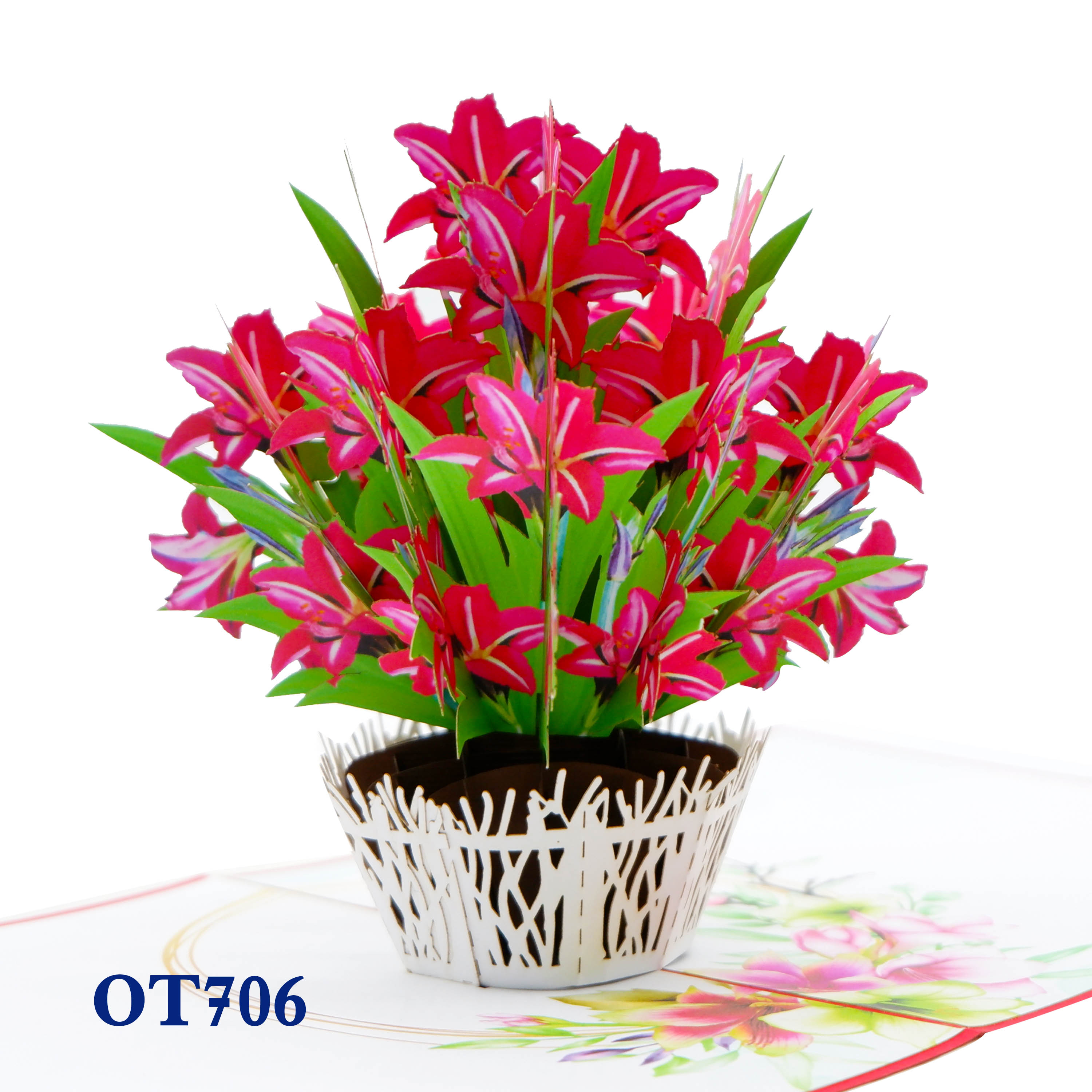Red Amaryllis Pop Up Card