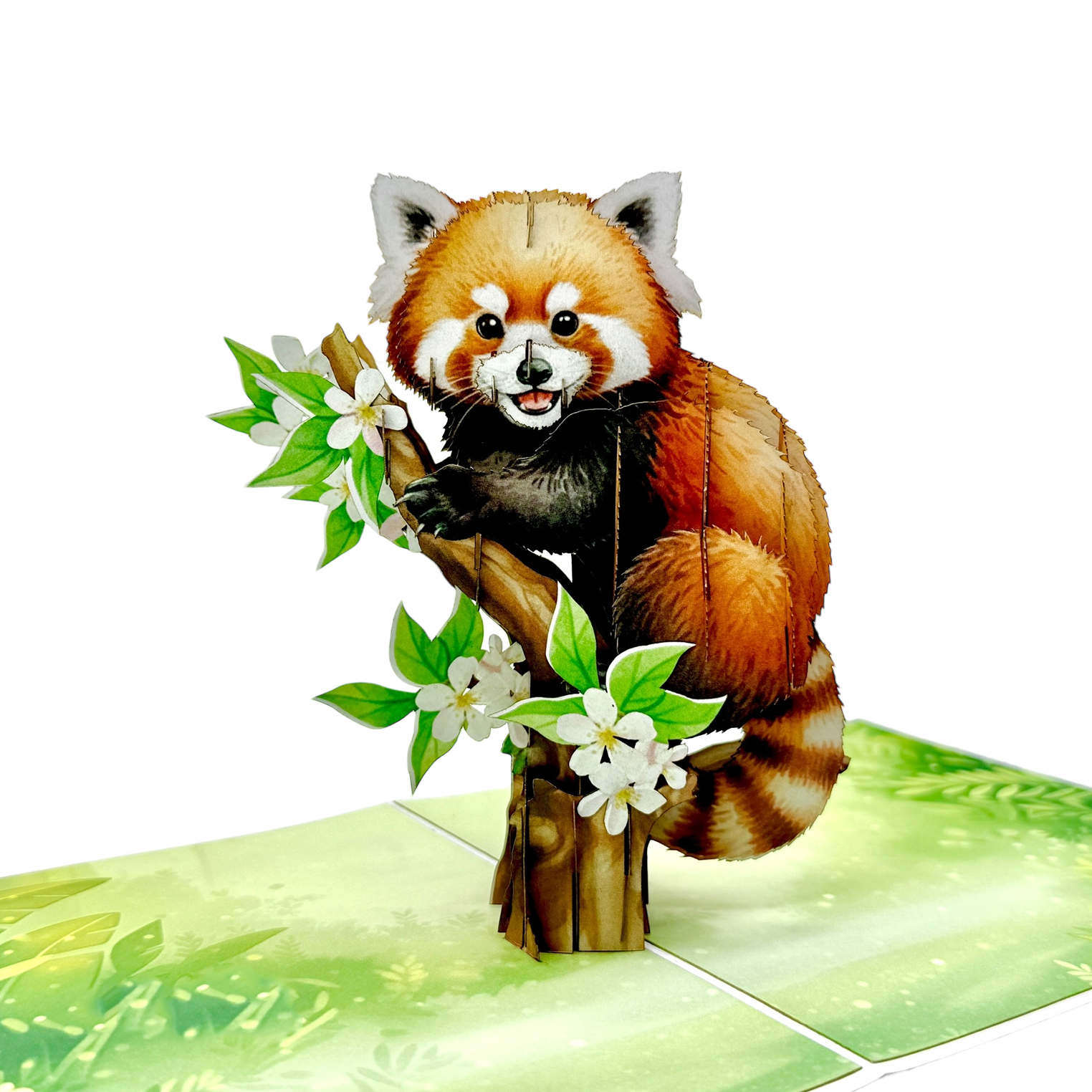 Red Panda Pop-up Card