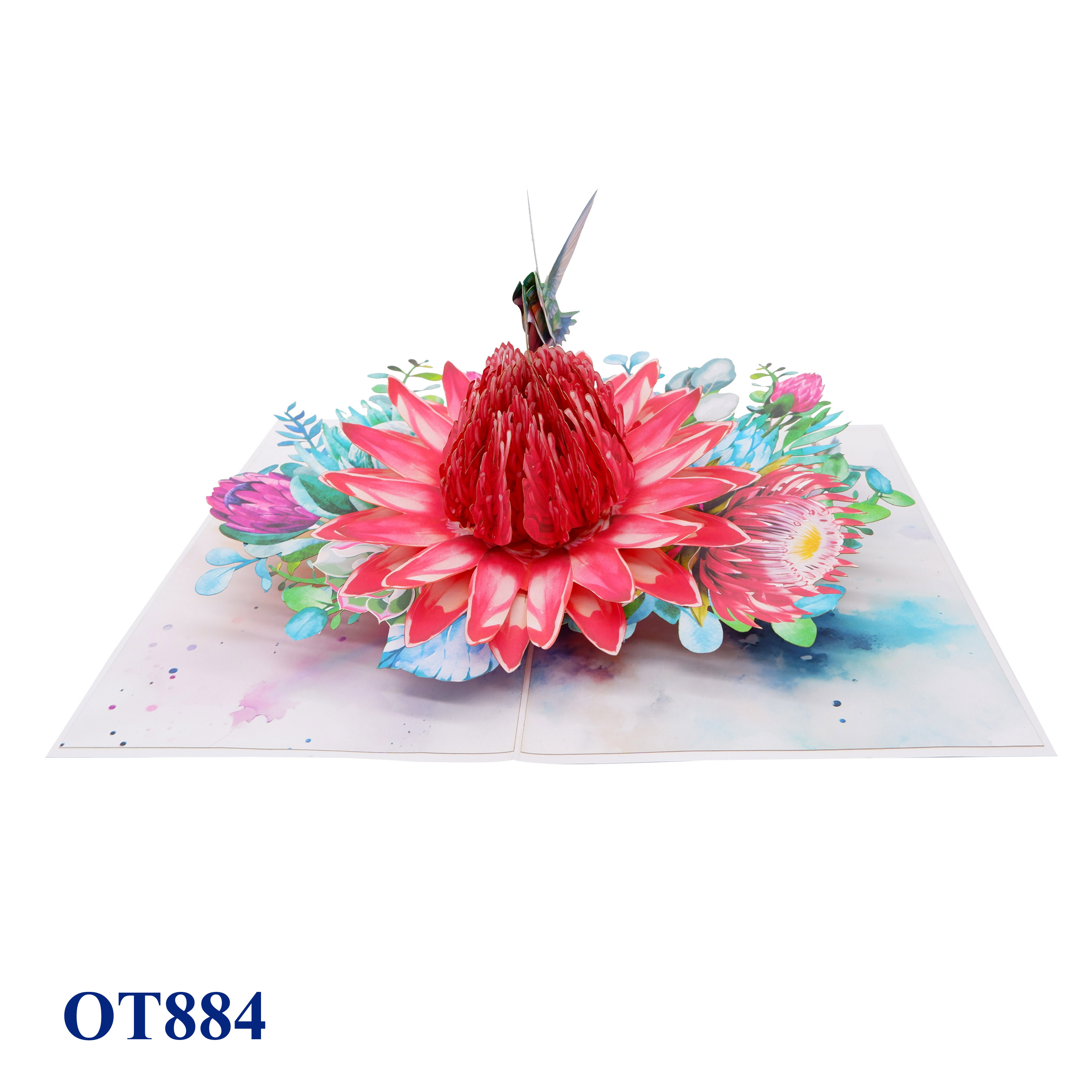 Red Waratah Flower Hummingbird Pop Up Card