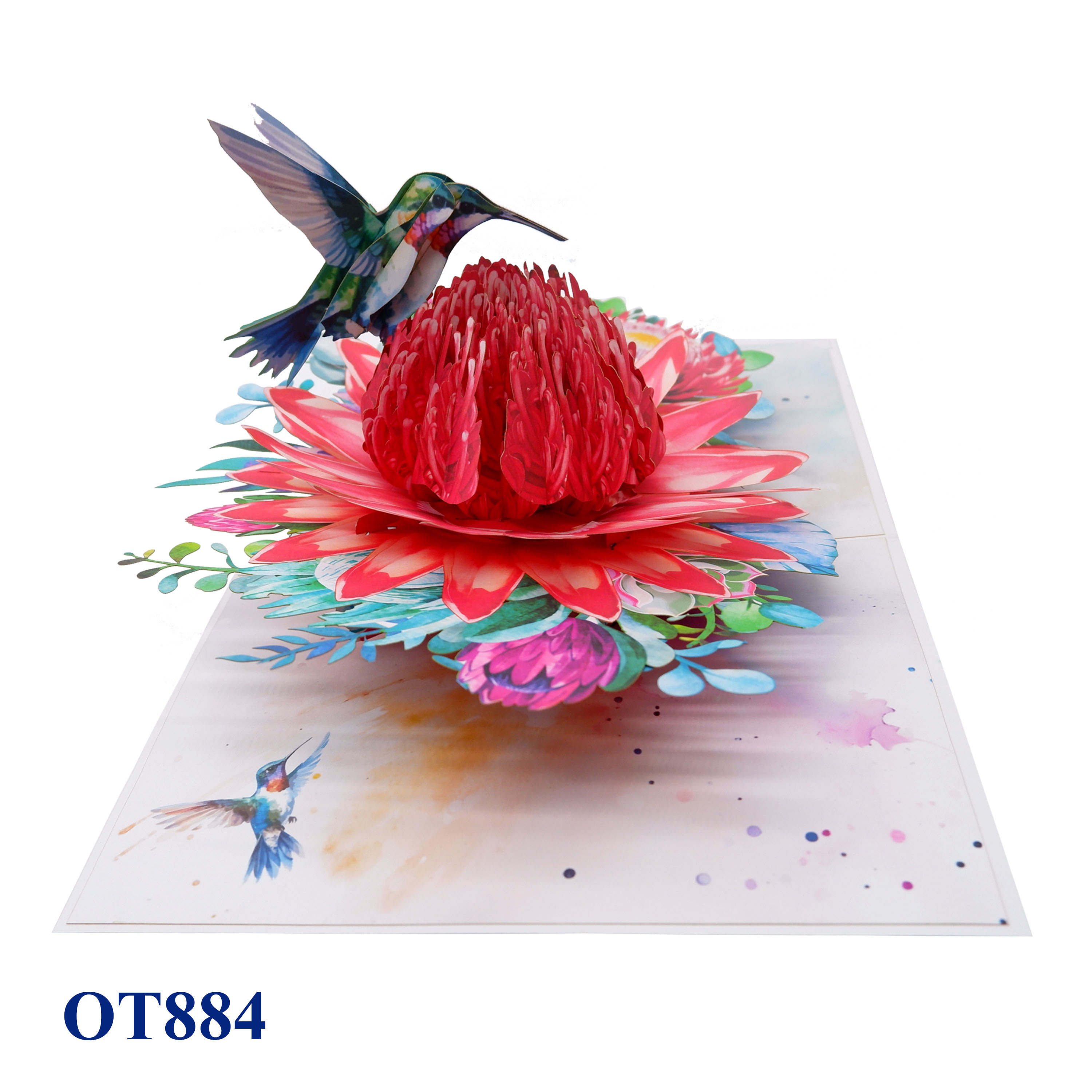 Red Waratah Flower Hummingbird Pop Up Card