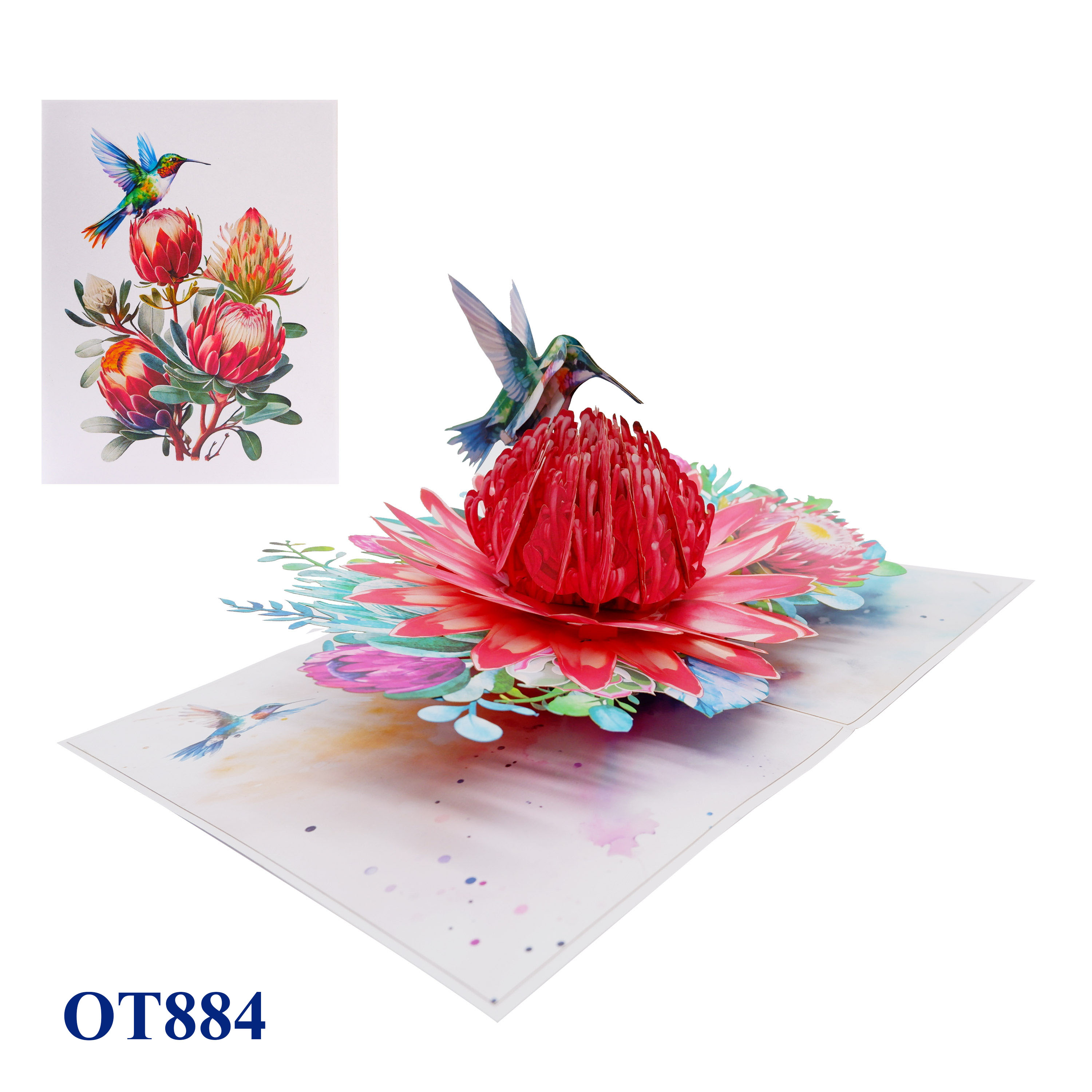 Red Waratah Flower Hummingbird Pop Up Card