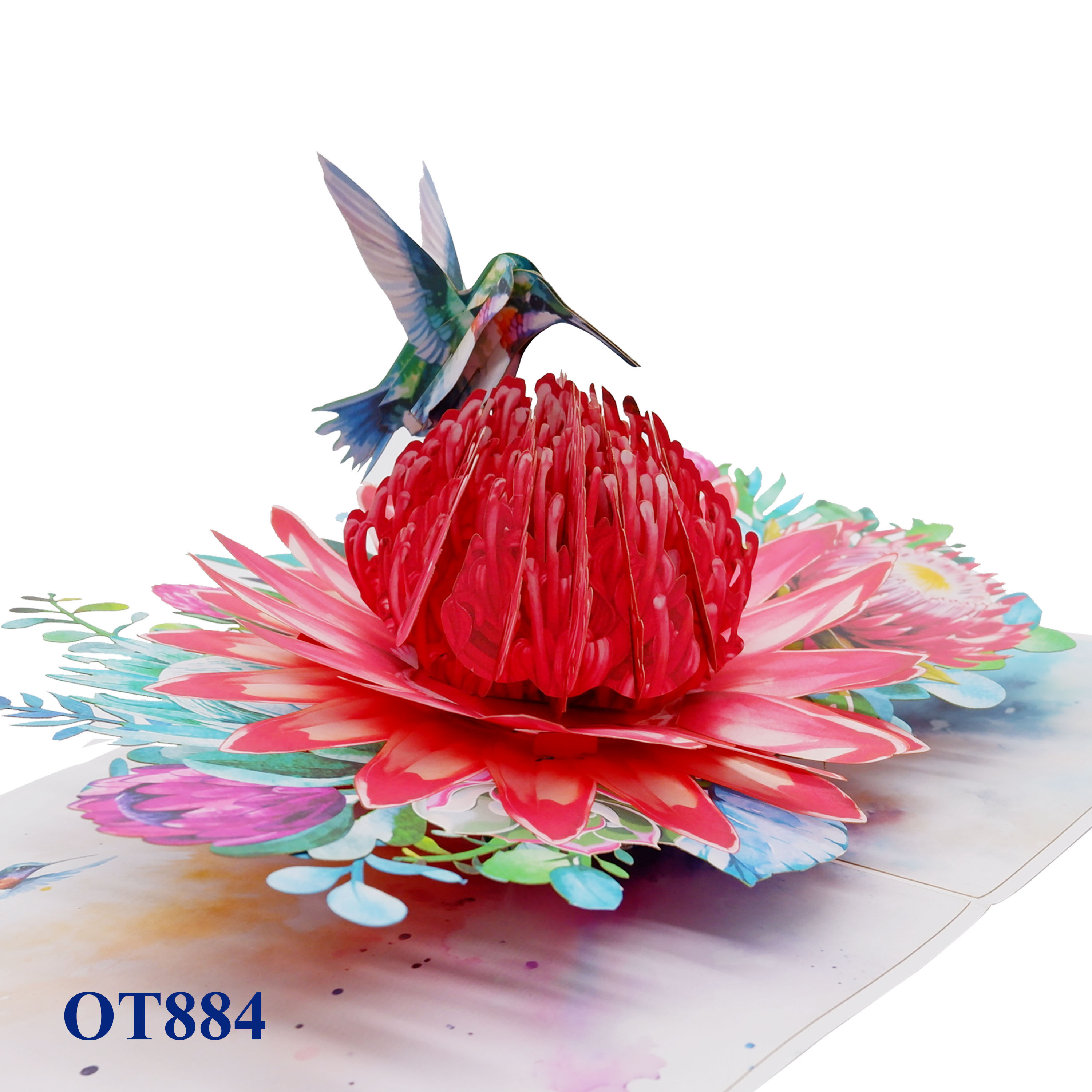 Red Waratah Flower Hummingbird Pop Up Card