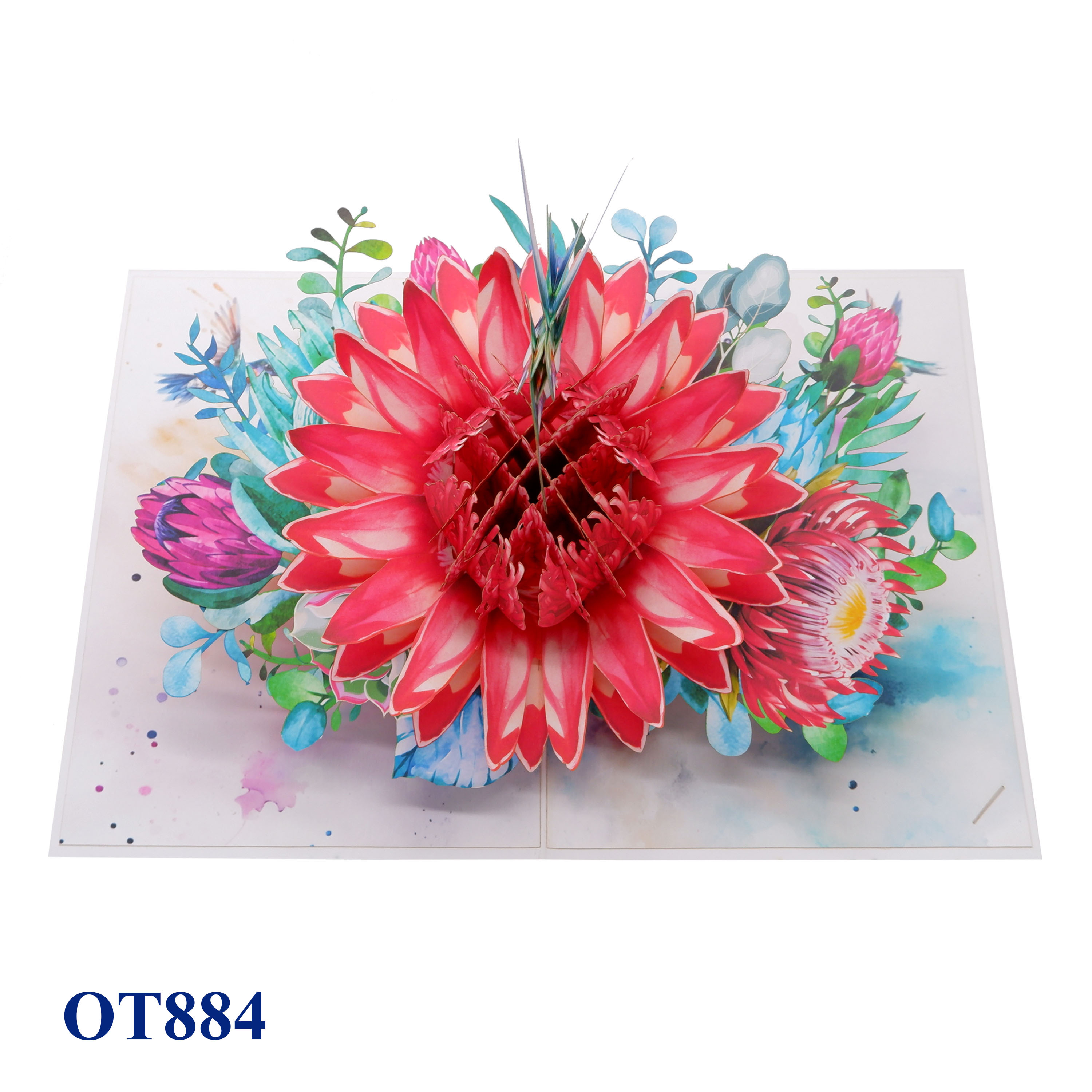Red Waratah Flower Hummingbird Pop Up Card