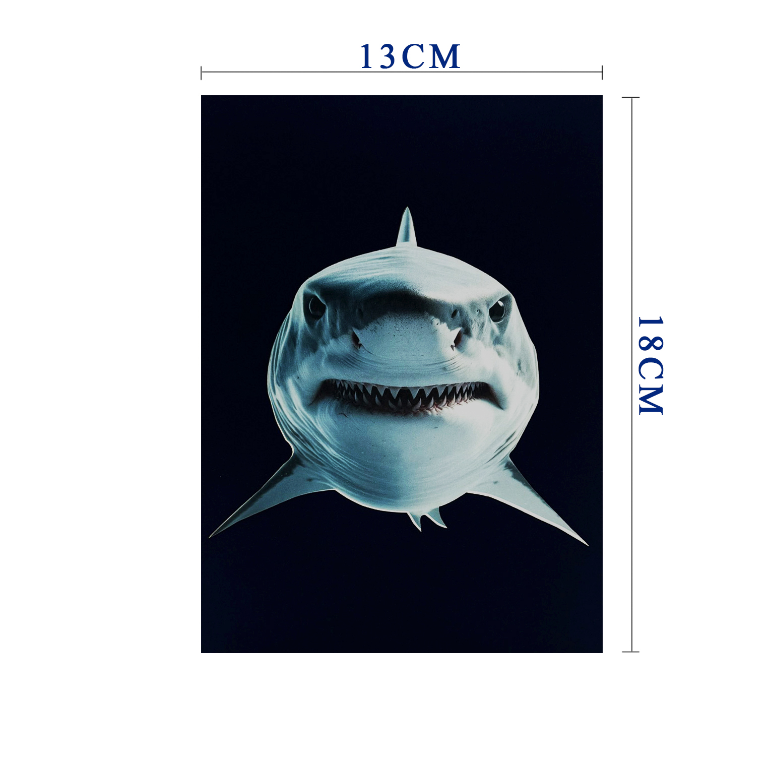 Shark 3D Pop Up Greeting Card