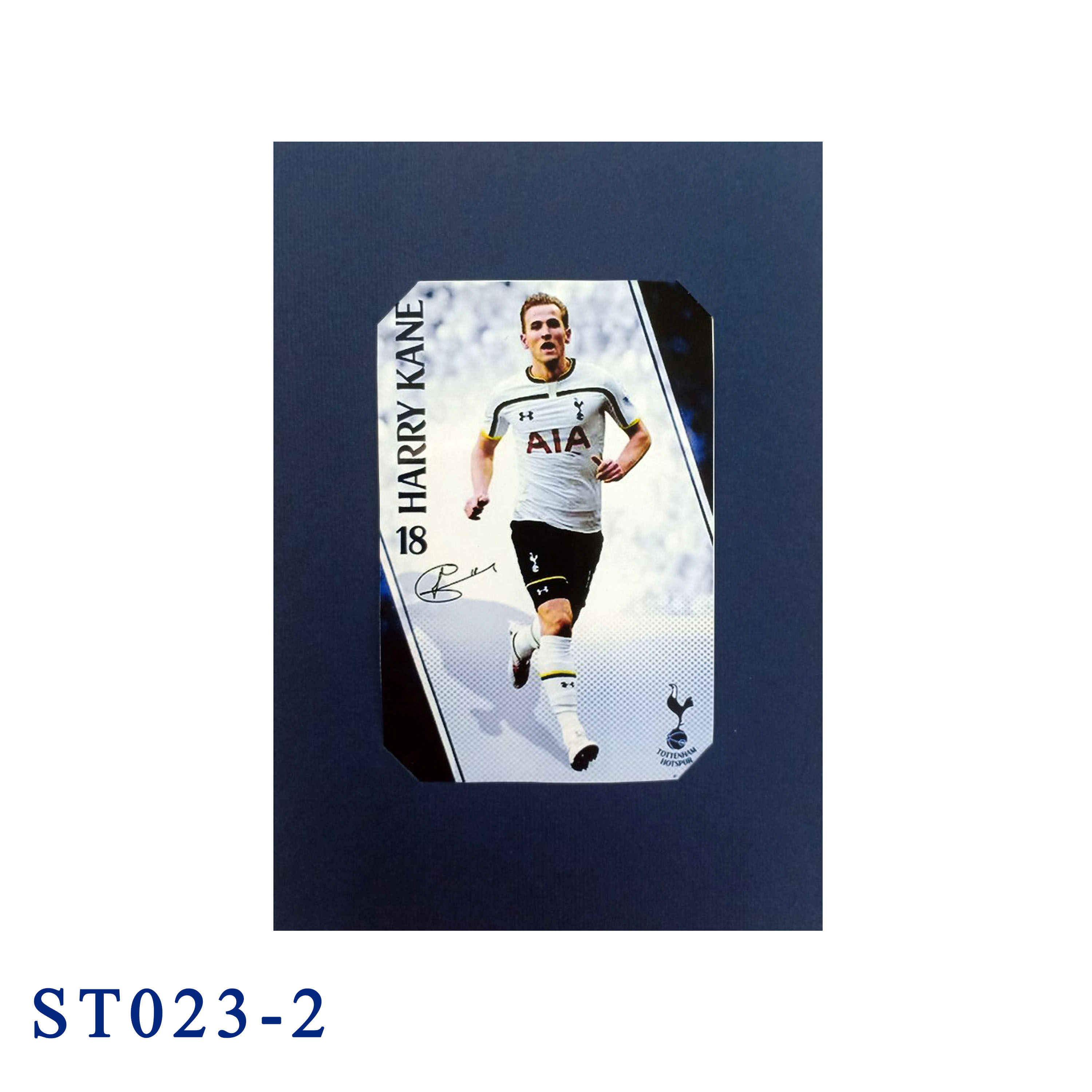 White Hart Lane Stadium Pop Up Card