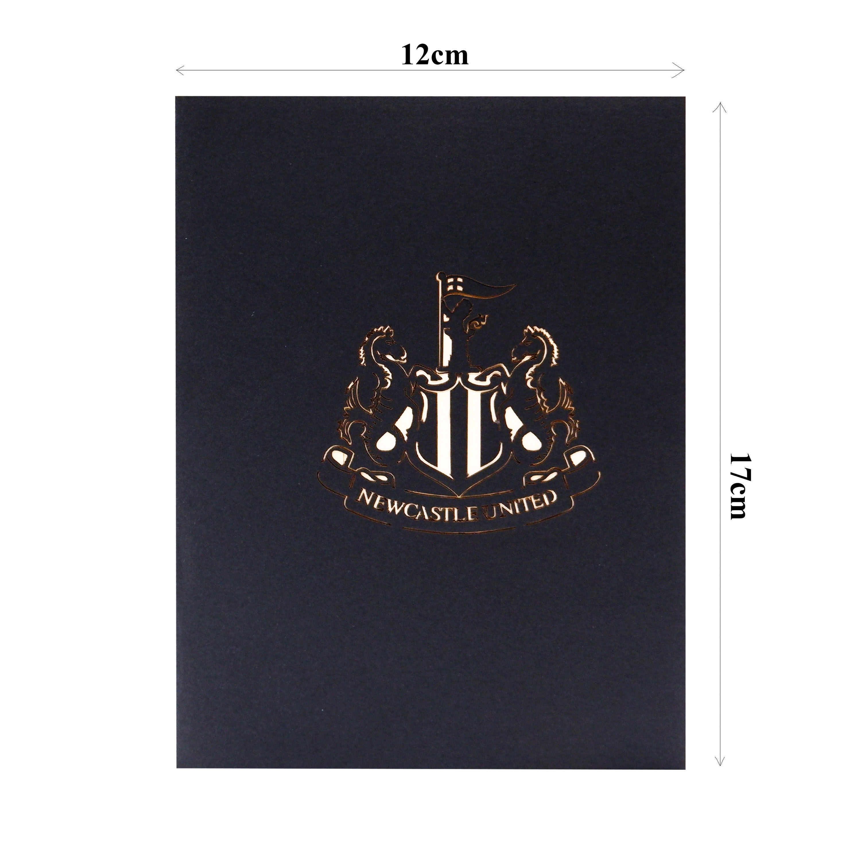Newcastle United Stadium Pop Up Card