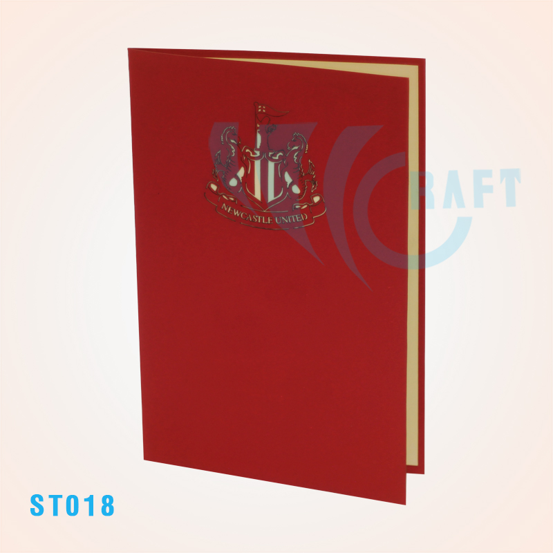 Newcastle United Stadium Pop Up Card