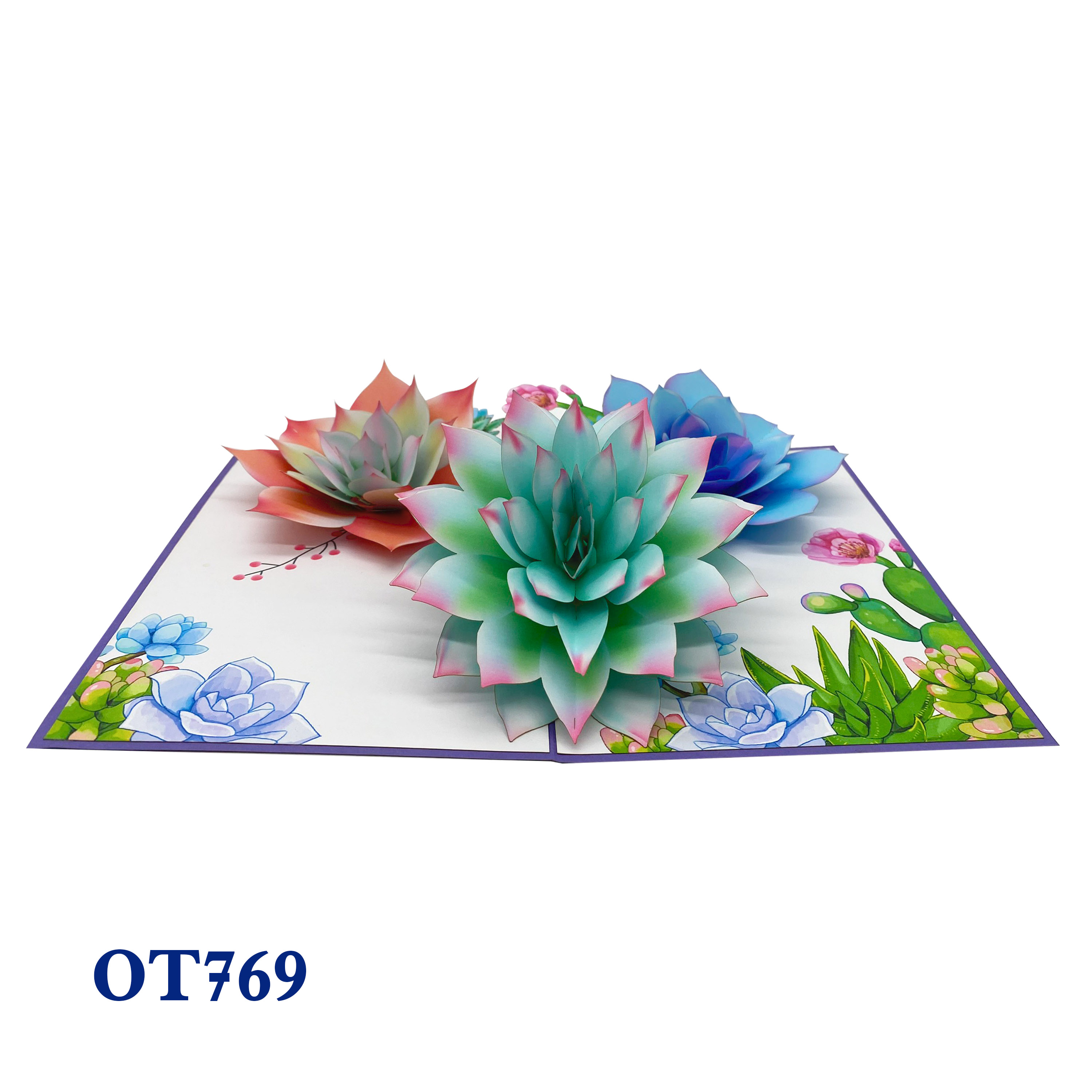 Succulents Pop Up Card