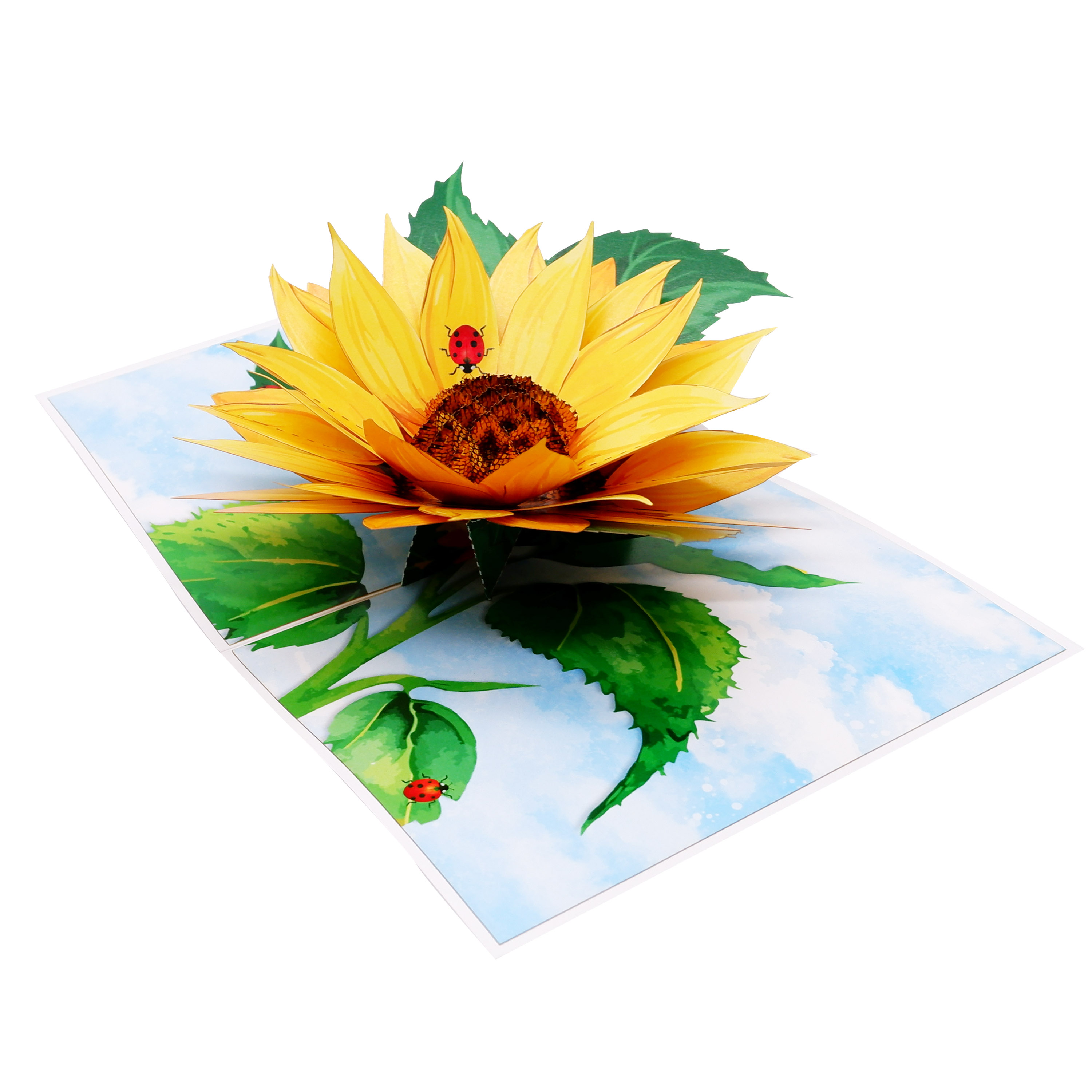 Sunflower Pop Up Greeting Card