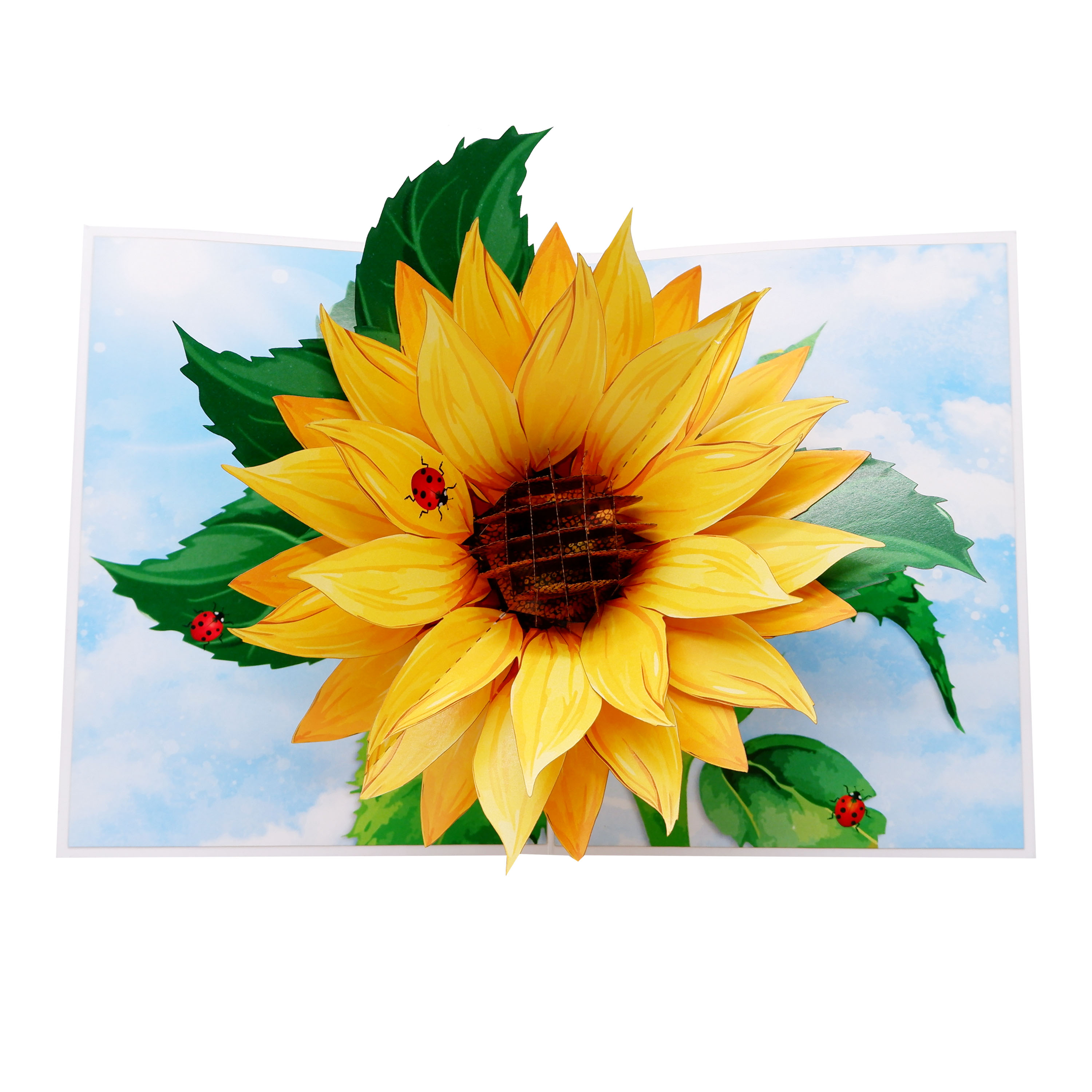Sunflower Pop Up Greeting Card